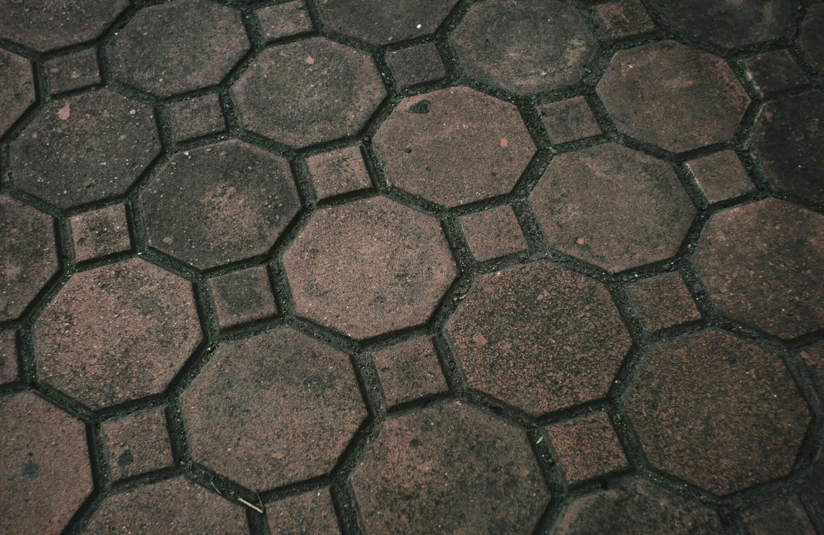 Close-up of outdoor pavers showing dark patches and early signs of mold growth between joints.