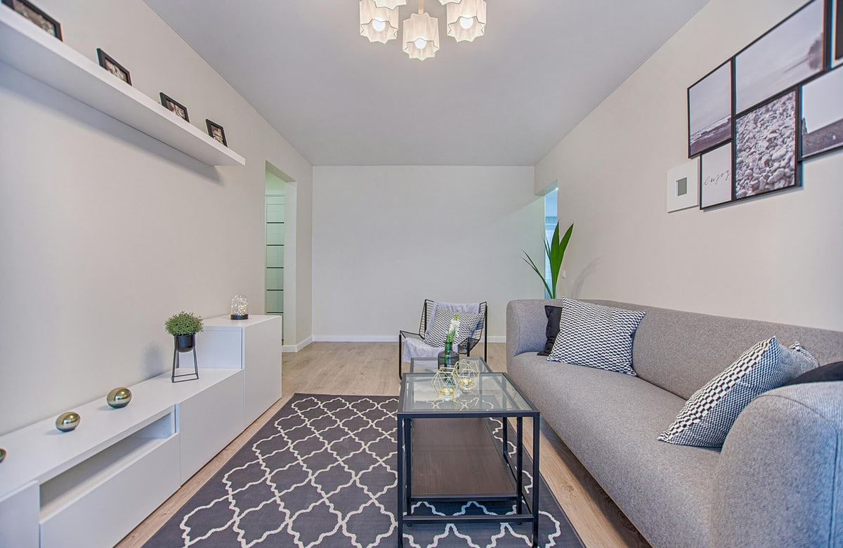 Gray sofa styled with black and white patterned decorative pillows that match the wall art, paired with a gray rug and light wood flooring in a modern living room.