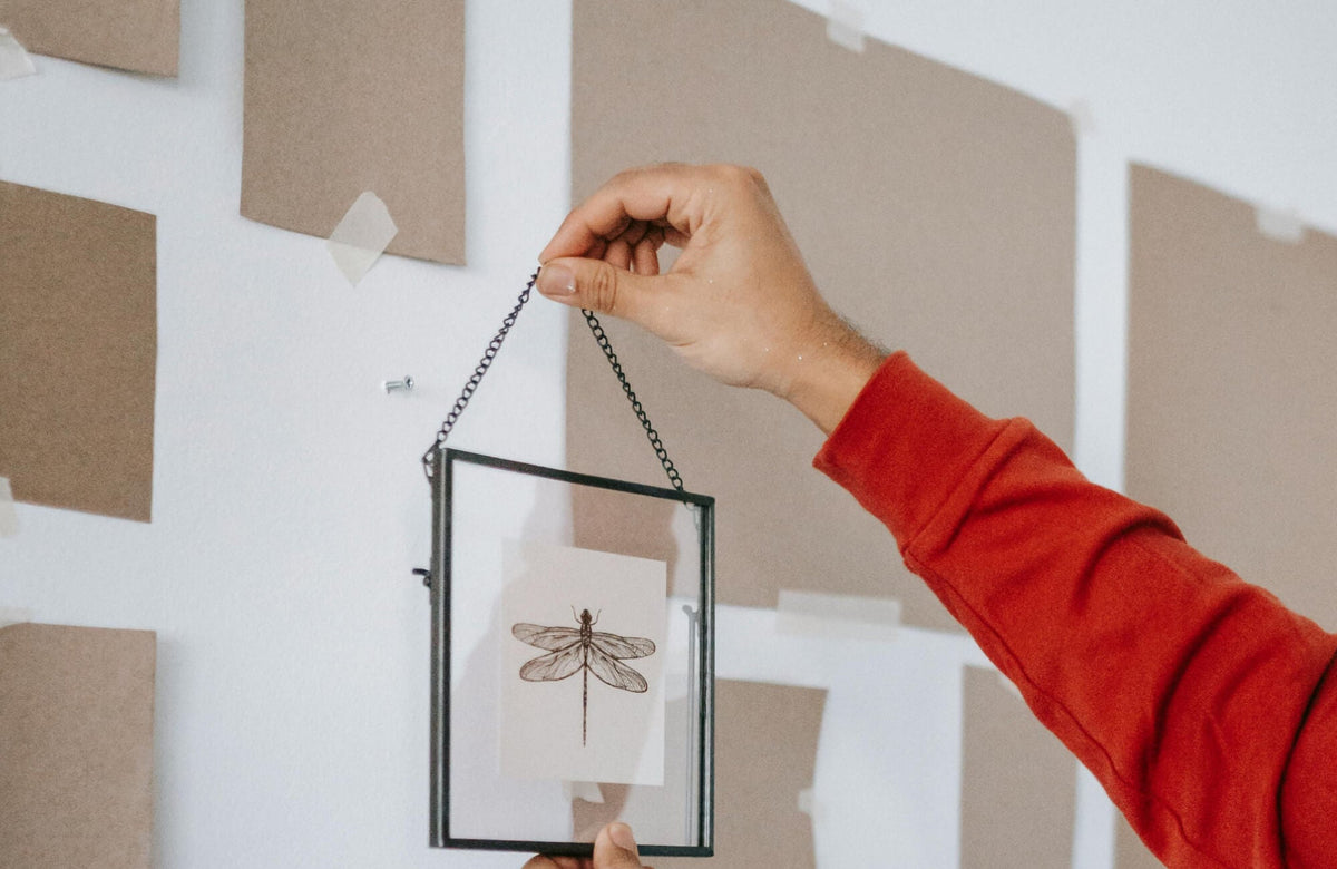 Hand-hanging framed insect print as minimalist diy wall art on a neutral-toned living room wall with taped layout guides.