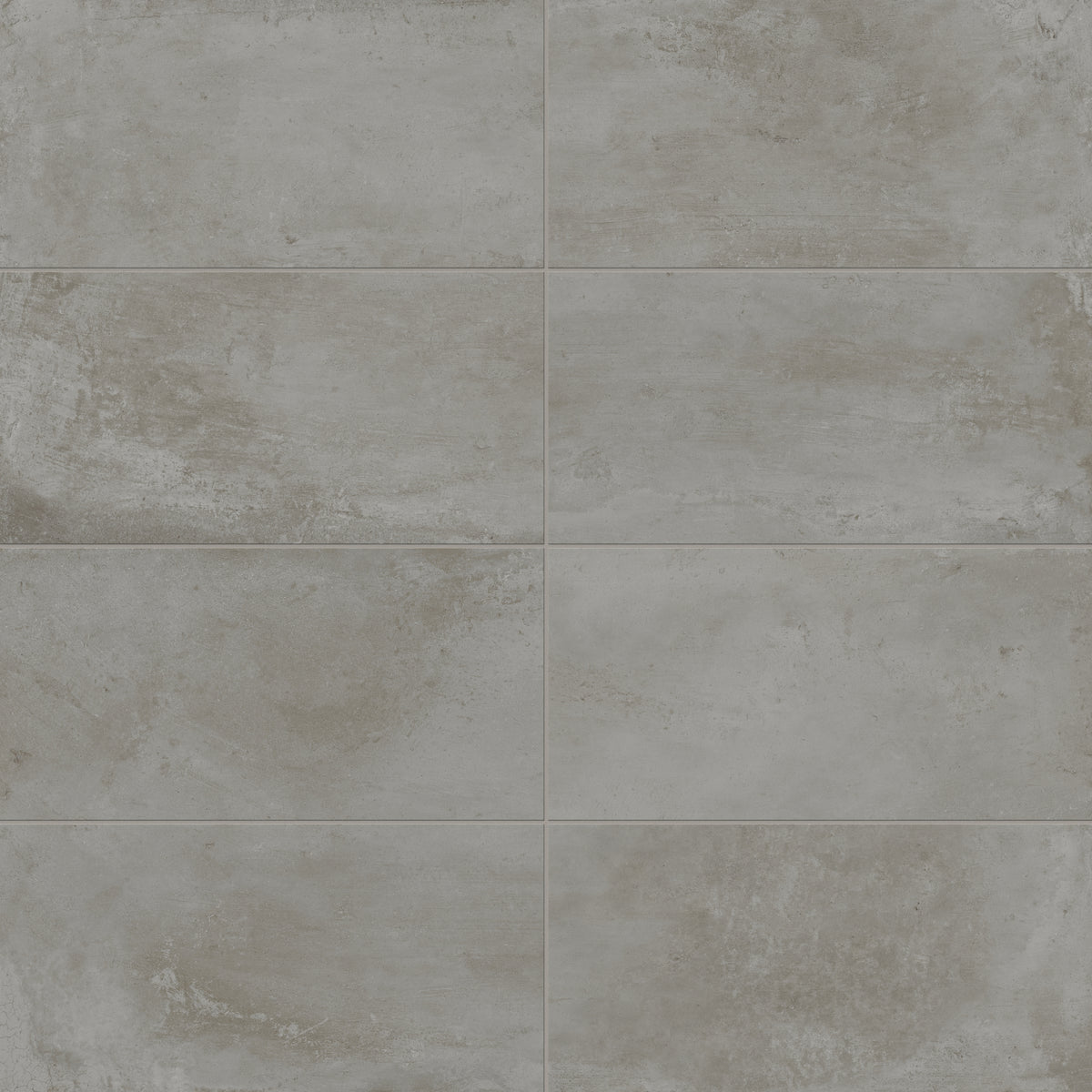 Ramsey 12 x 24 Matte Porcelain Tile in Ash