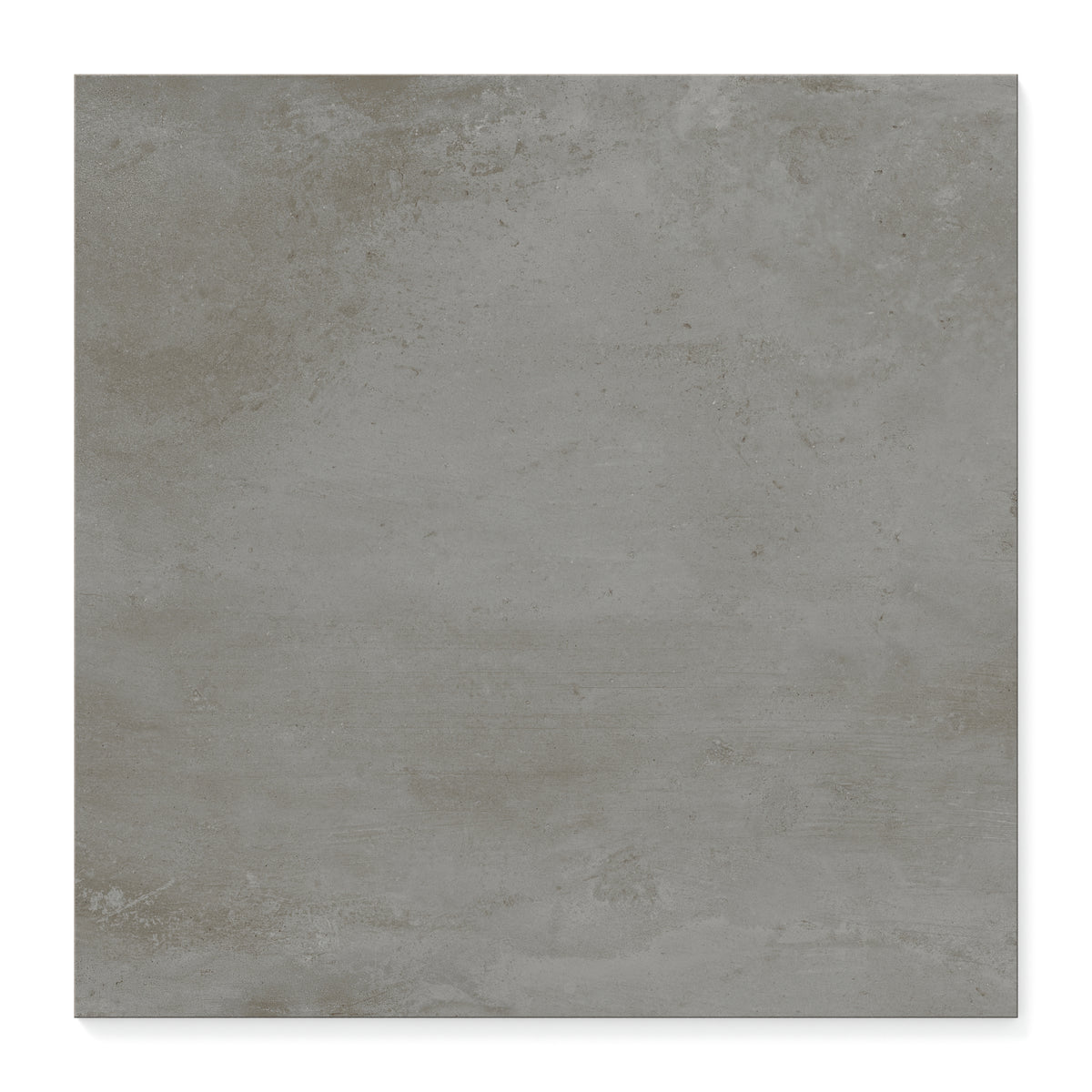 Ramsey 24 x 24 Matte Porcelain Tile in Ash