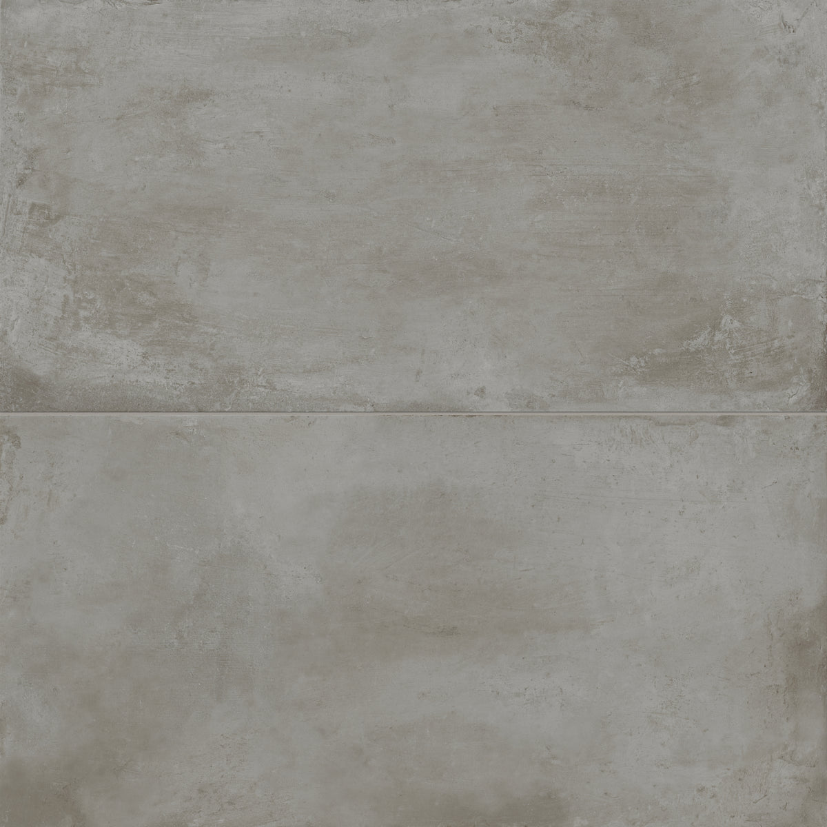 Ramsey 24 x 48 Matte Porcelain Tile in Ash