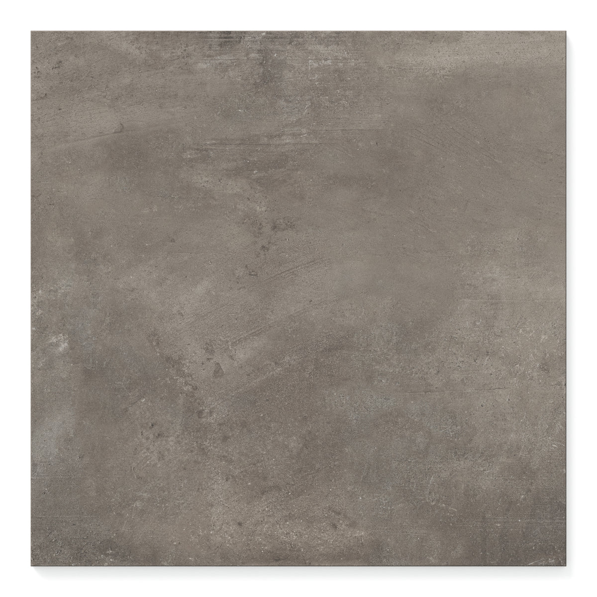Ramsey 24 x 24 Polished Porcelain Tile in Plumb