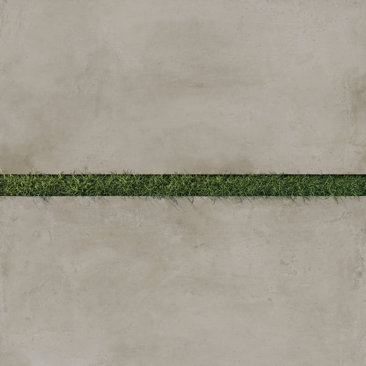 24x48 porcelain pavers featuring a warm, earthy taupe tone paired with grass inlays, perfect for elegant outdoor settings