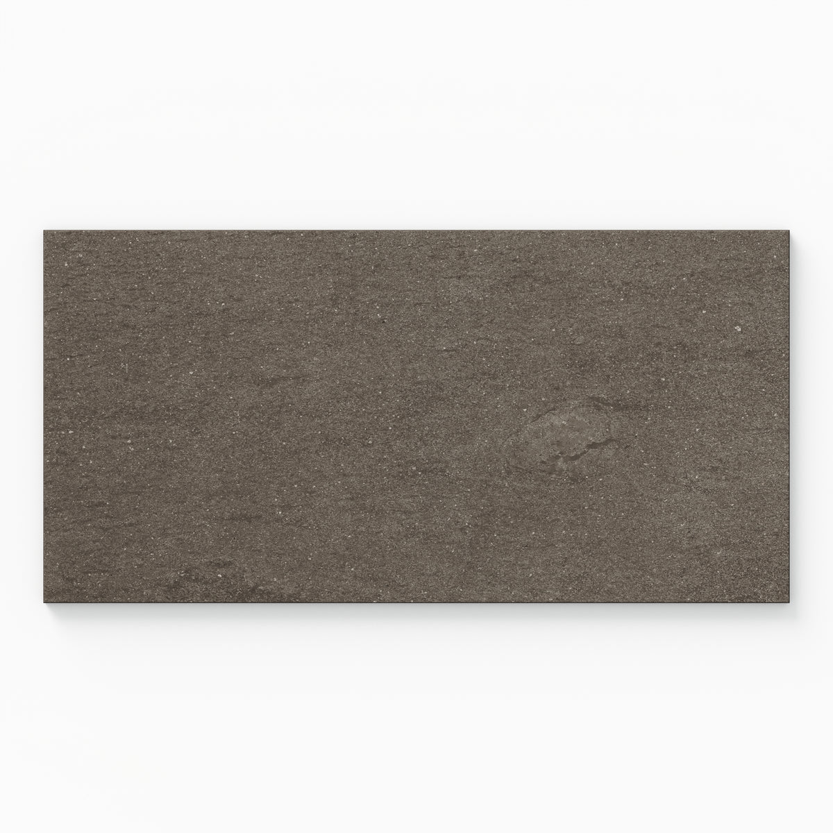 Brody 12 x 24 Matte Porcelain Tile in Nut