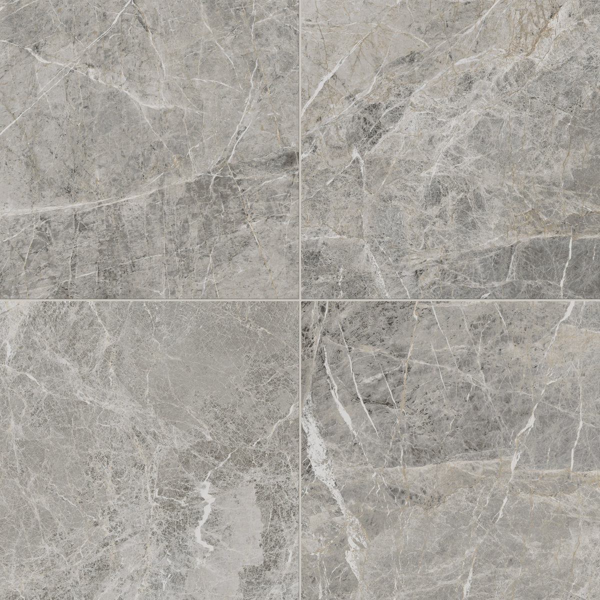 Chantel 24 x 24 Matte Porcelain Tile in Imperial