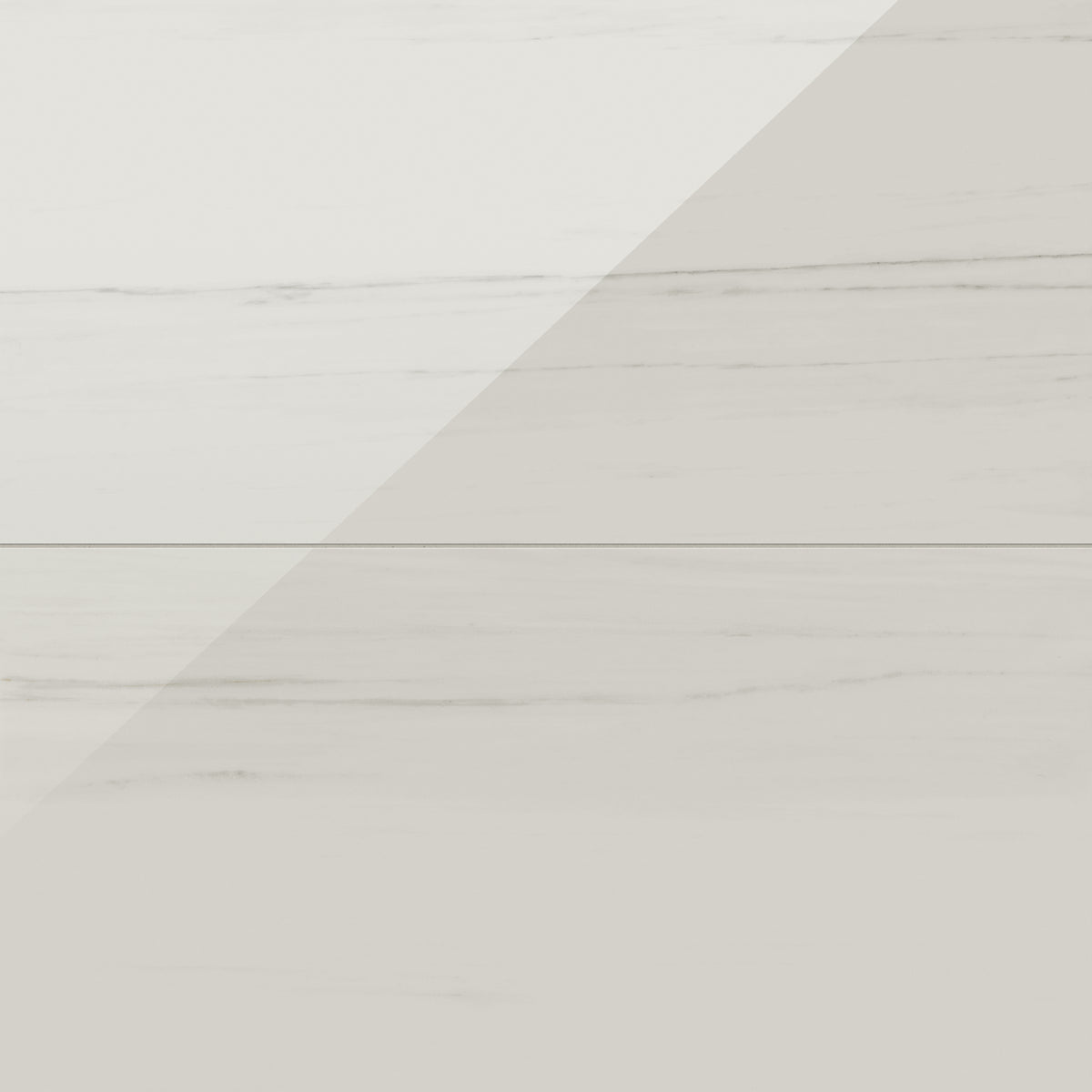 Chantel 24 x 48 Polished Porcelain Tile in Dolomite