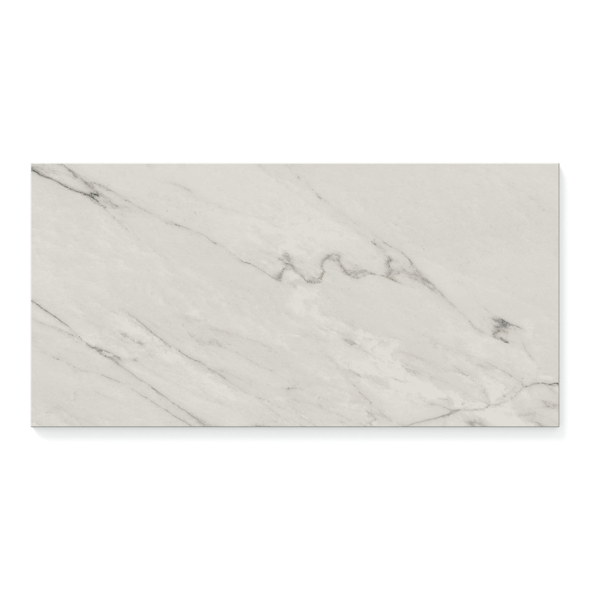 Aniston 12 x 24 Matte Porcelain Tile in Calacatta Quartzite