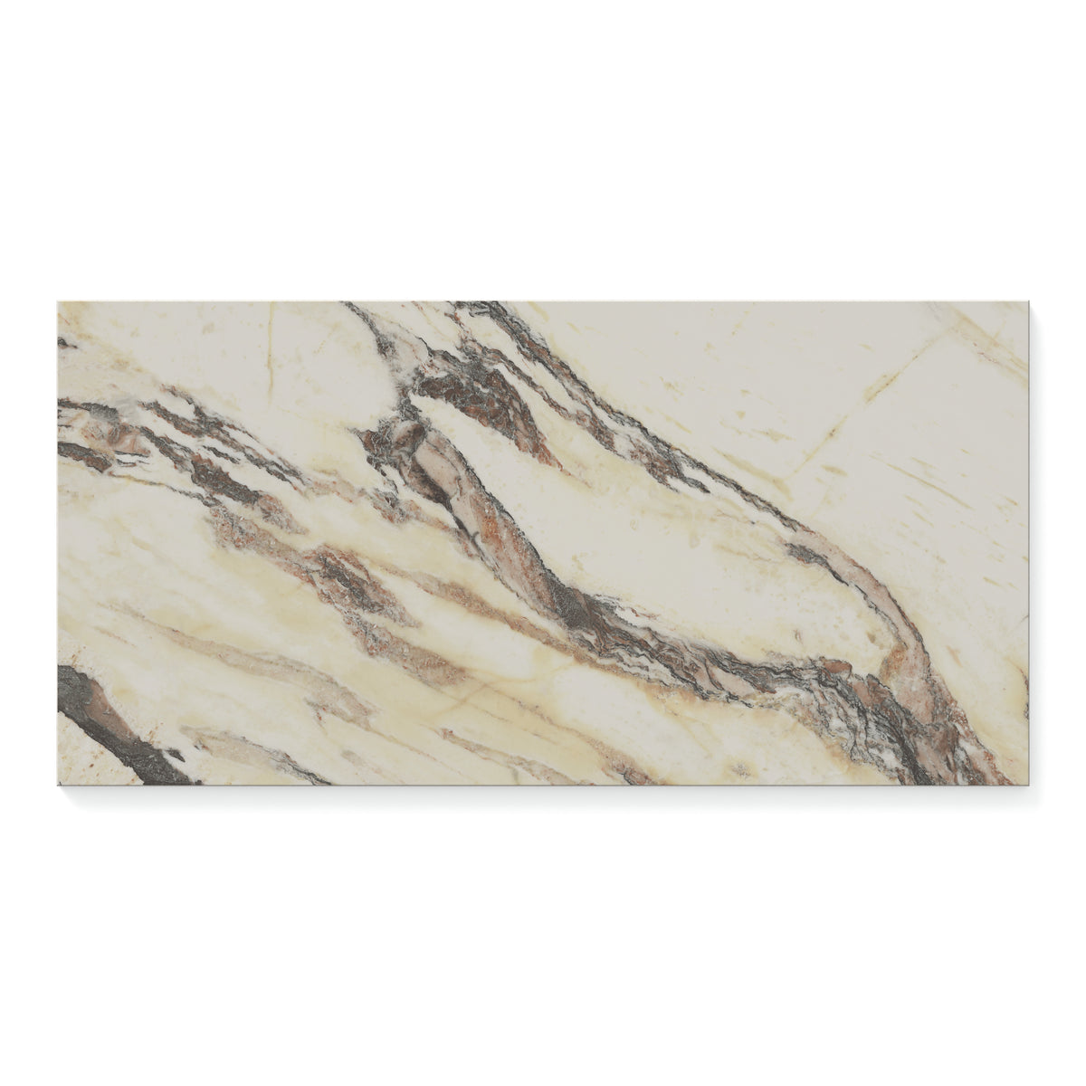 Aniston 12 x 24 Polished Porcelain Tile in Calacatta Viola