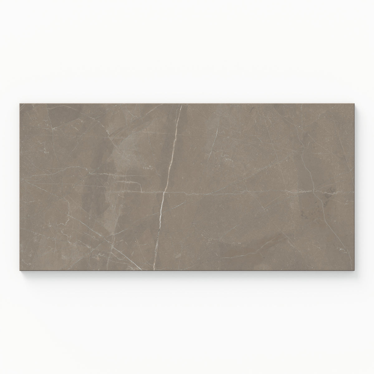 Leona 12 x 24 Polished Porcelain Tile in Amani Bronze