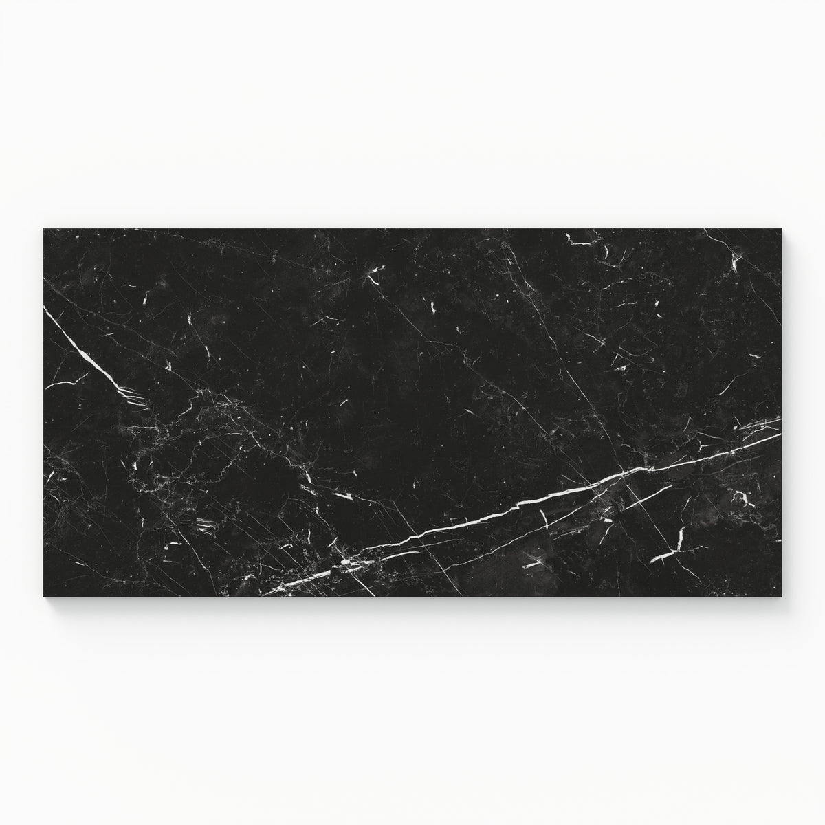 Leona 12 x 24 Polished Porcelain Tile in Nero Marquina