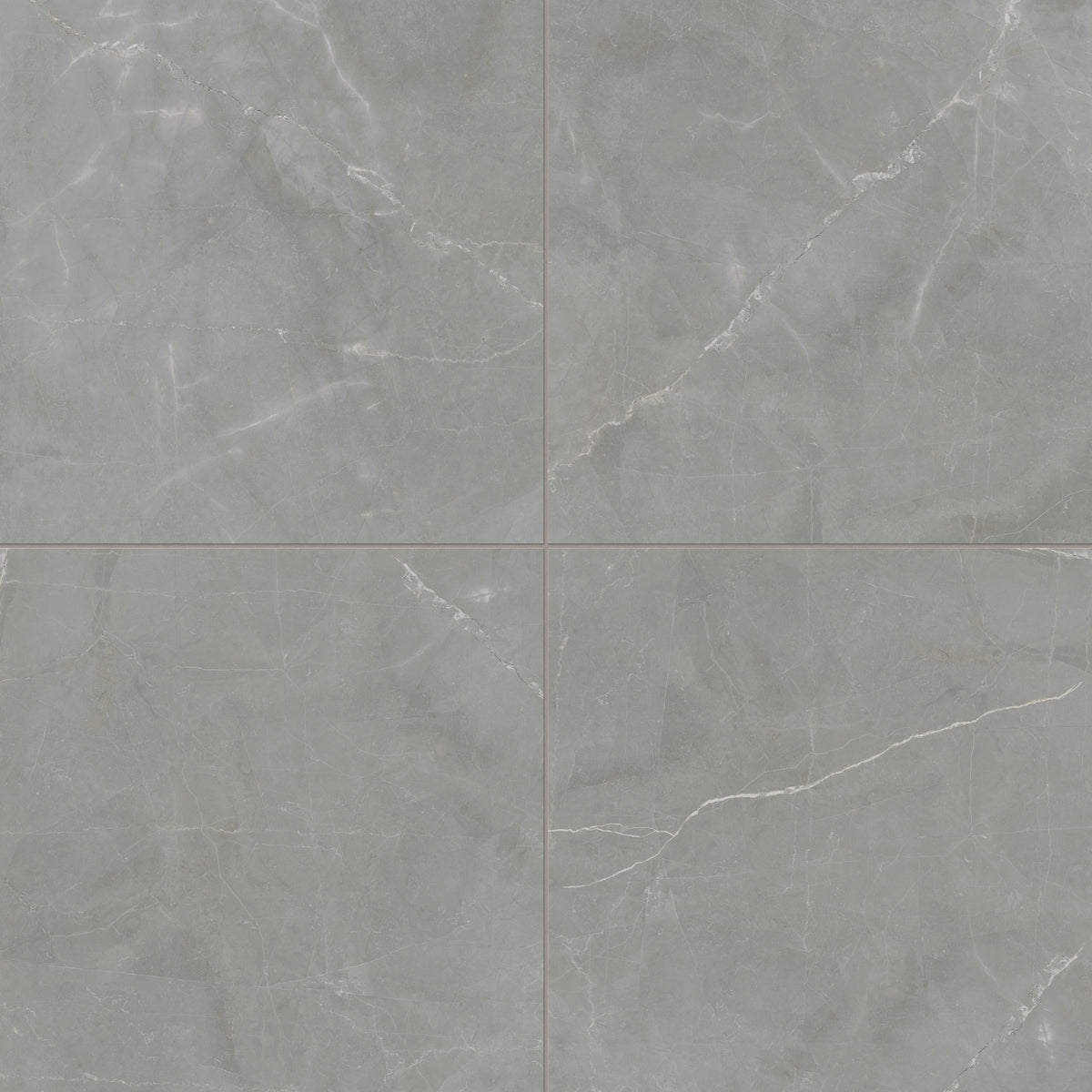 Leona 24 x 24 Matte Porcelain Tile in Amani Grey