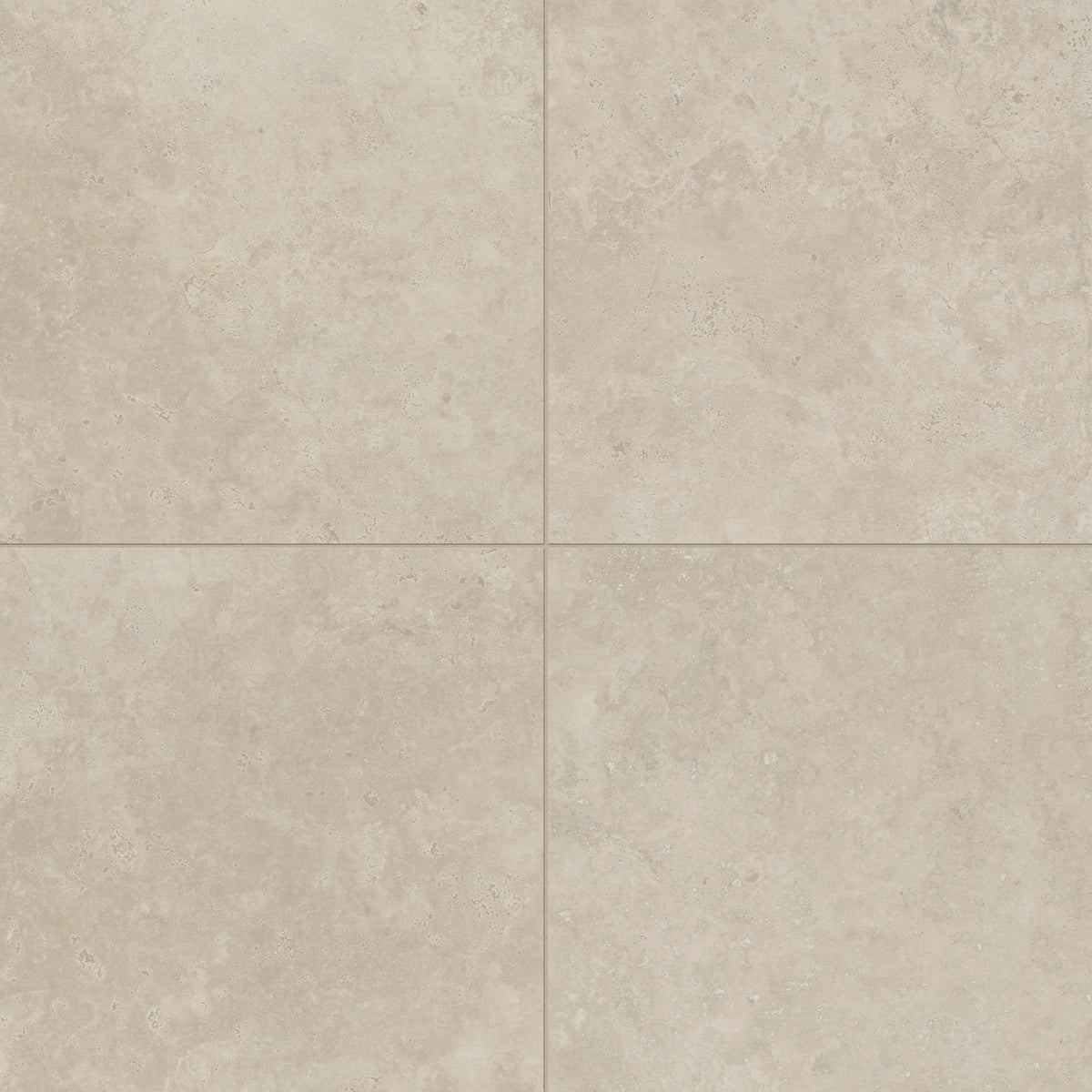 Leona 24 x 24 Matte Porcelain Tile in Marfil