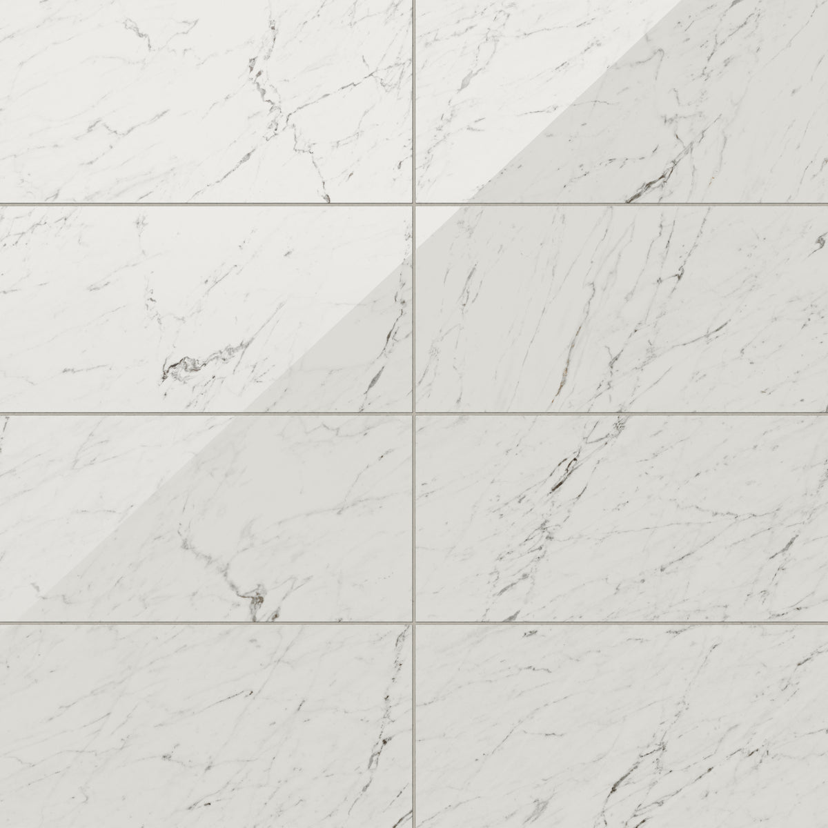 Blair 12 x 24 Polished Porcelain Tile in White Carrara