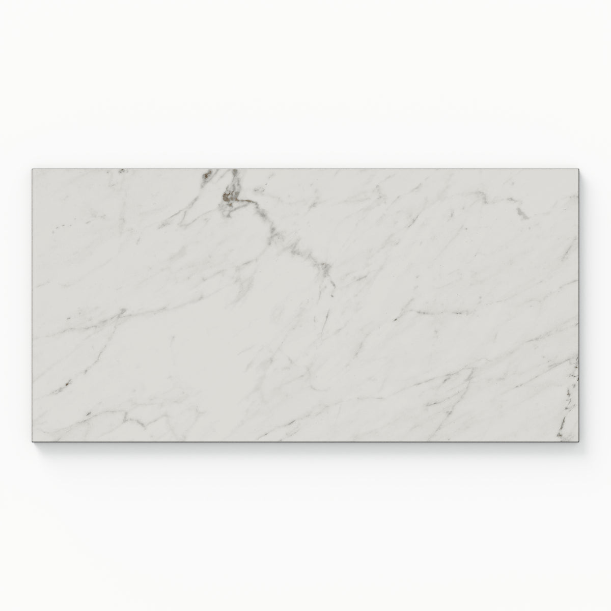 Blair 12 x 24 Polished Porcelain Tile in White Carrara