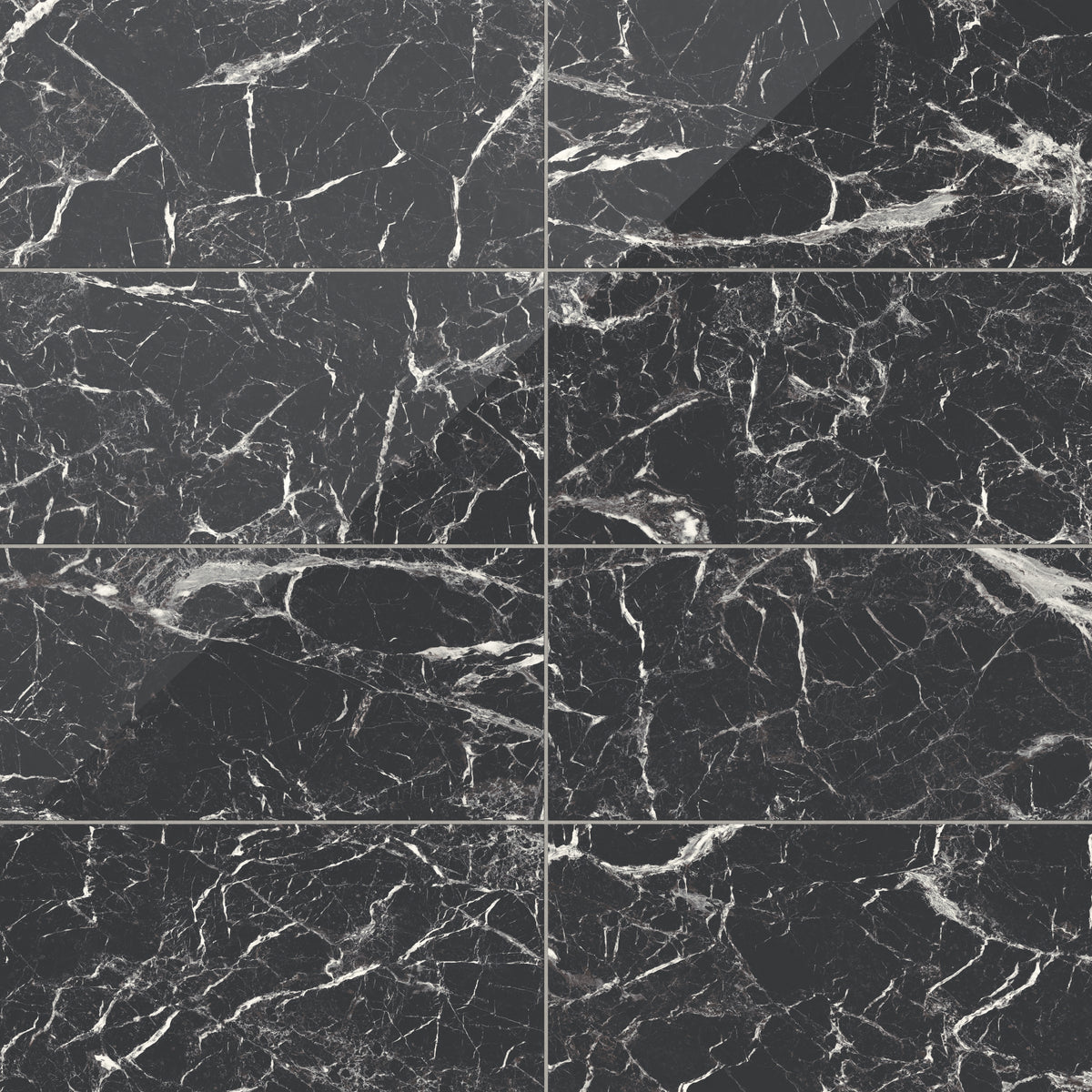 Blair 12 x 24 Polished Porcelain Tile in Marmo Black
