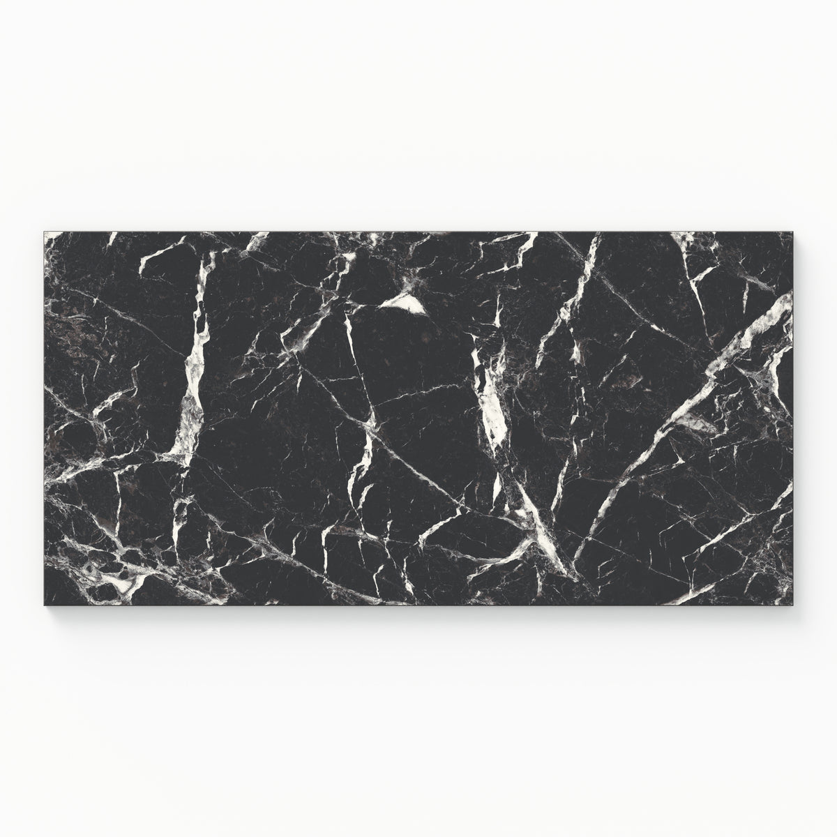 Blair 12 x 24 Polished Porcelain Tile in Marmo Black
