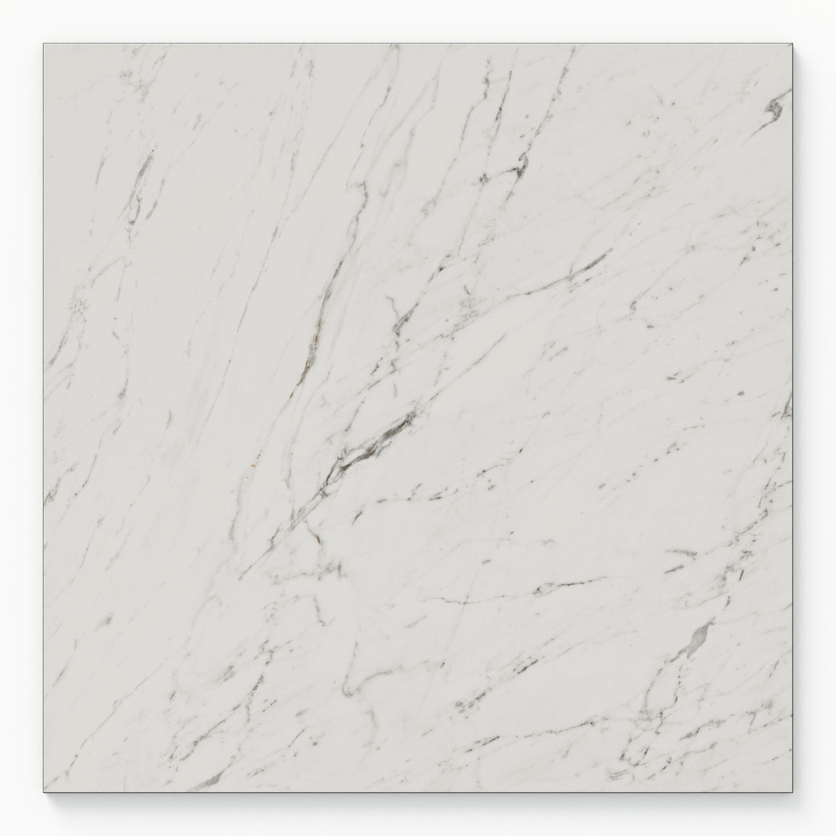 Blair 24 x 24 Polished Porcelain Tile in White Carrara