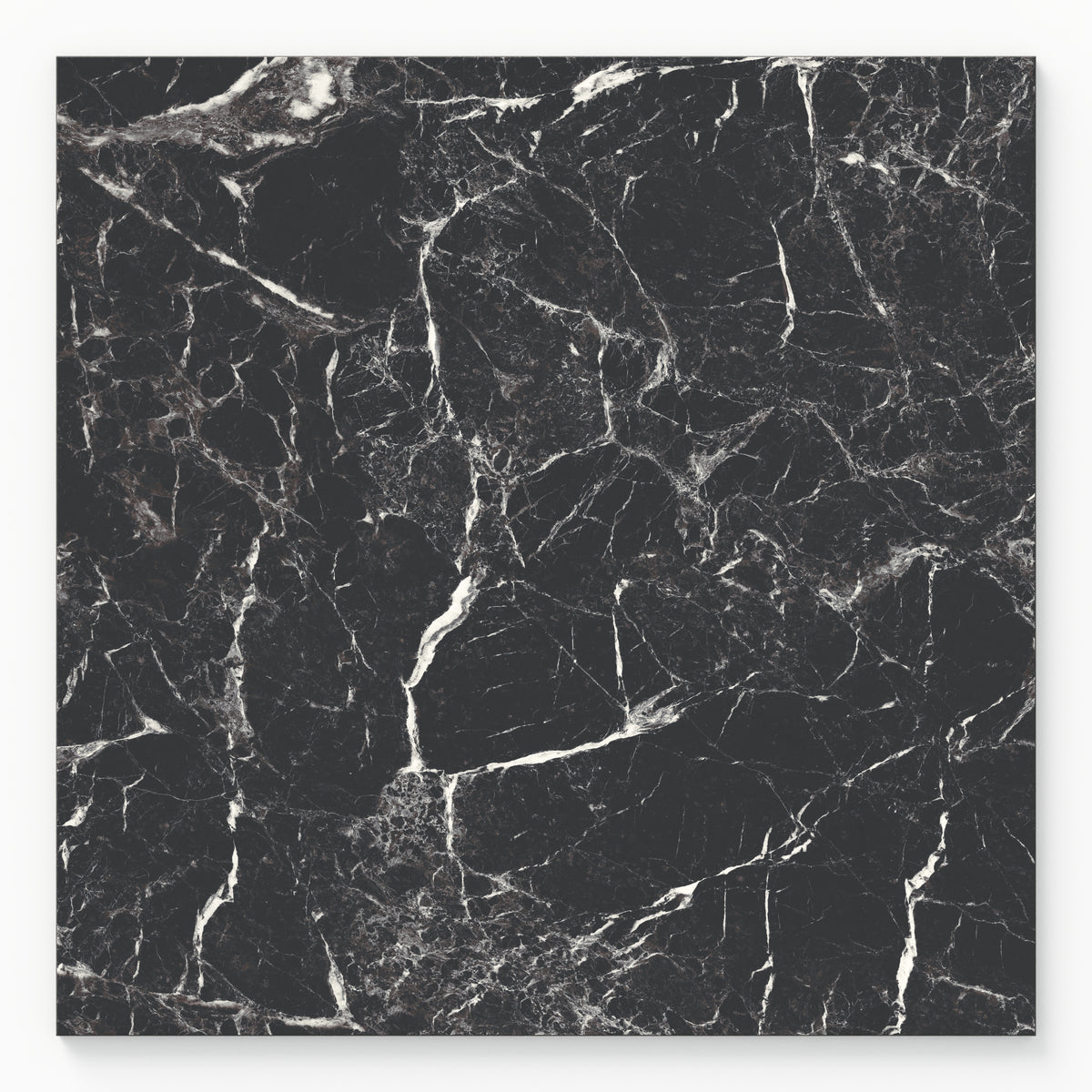Blair 24 x 24 Polished Porcelain Tile in Marmo Black