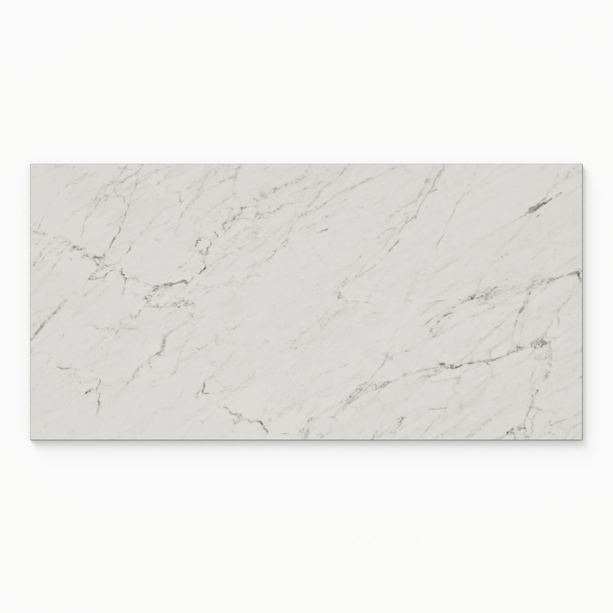 Blair 24 x 48 Polished Porcelain Tile in White Carrara