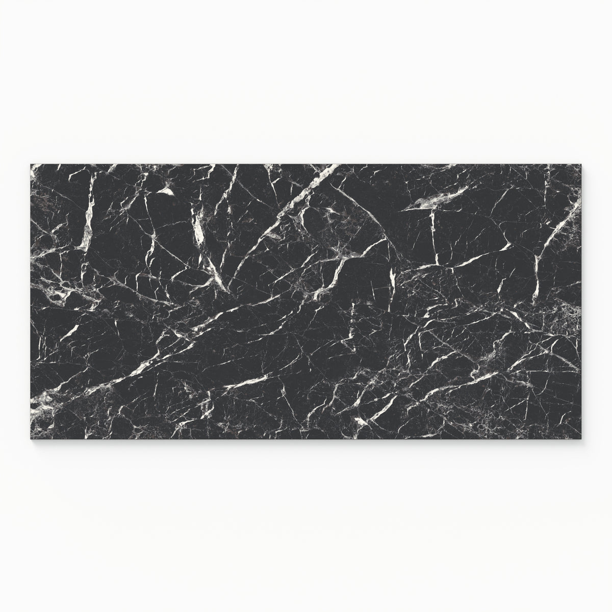 Blair 24 x 48 Matte Porcelain Tile in Marmo Black