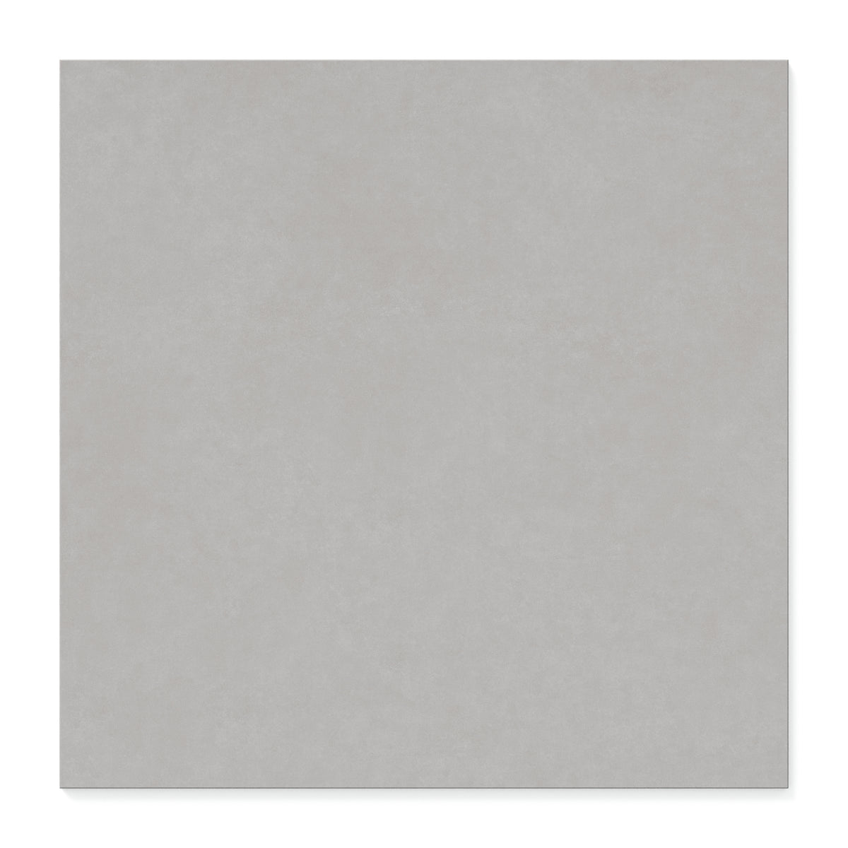 Wyatt 32 x 32 Matte Porcelain Tile in Silver Grey