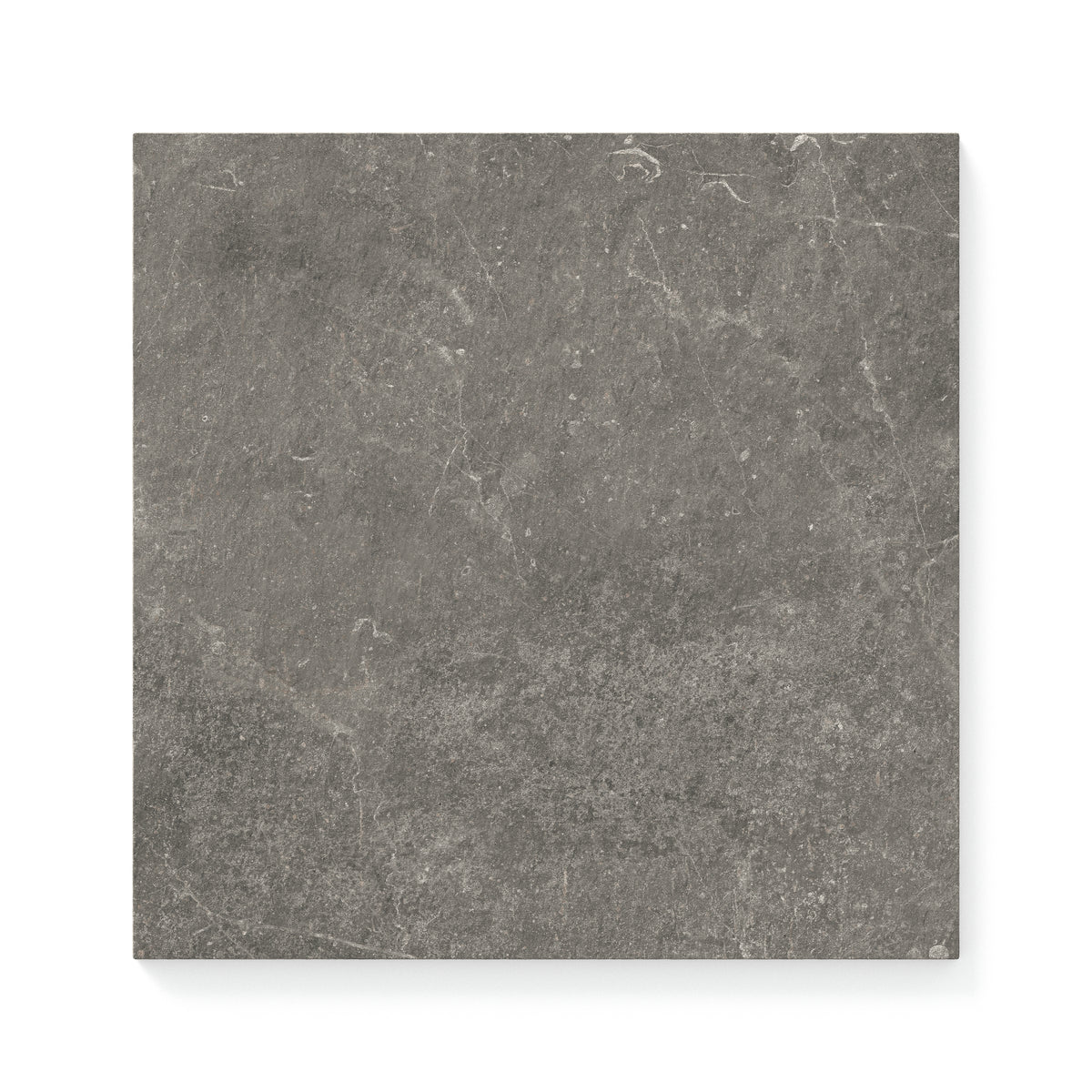 Wesley 12 x 12 Matte Porcelain Tile in Charcoal