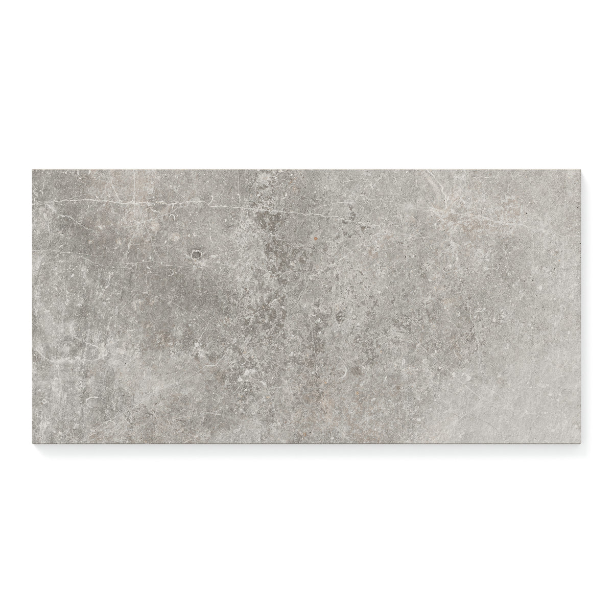 Wesley 12 x 24 Matte Porcelain Tile in Putty