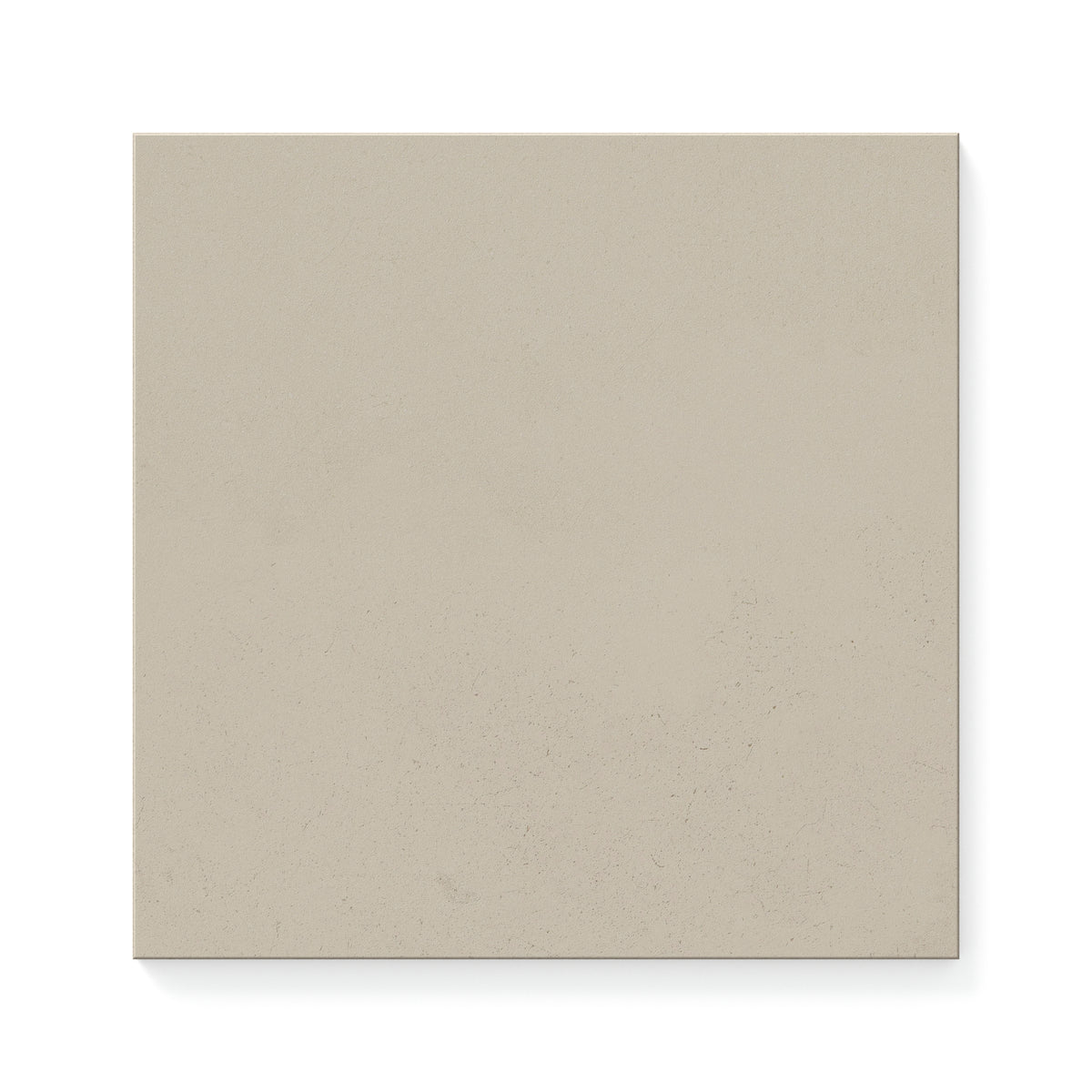 Palmer 12 x 12 Matte Porcelain Tile in Natural