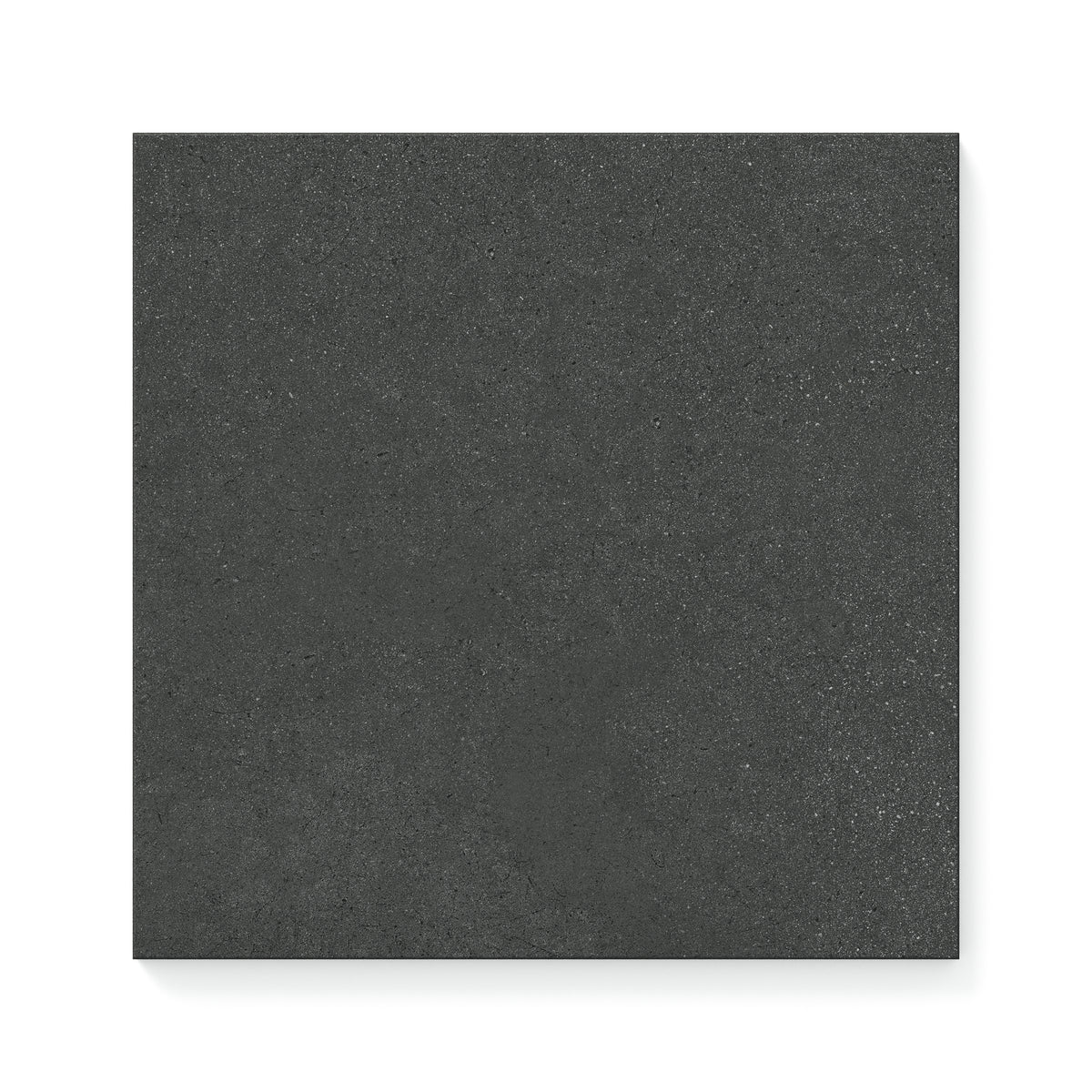 Palmer 12 x 12 Matte Porcelain Tile in Nero