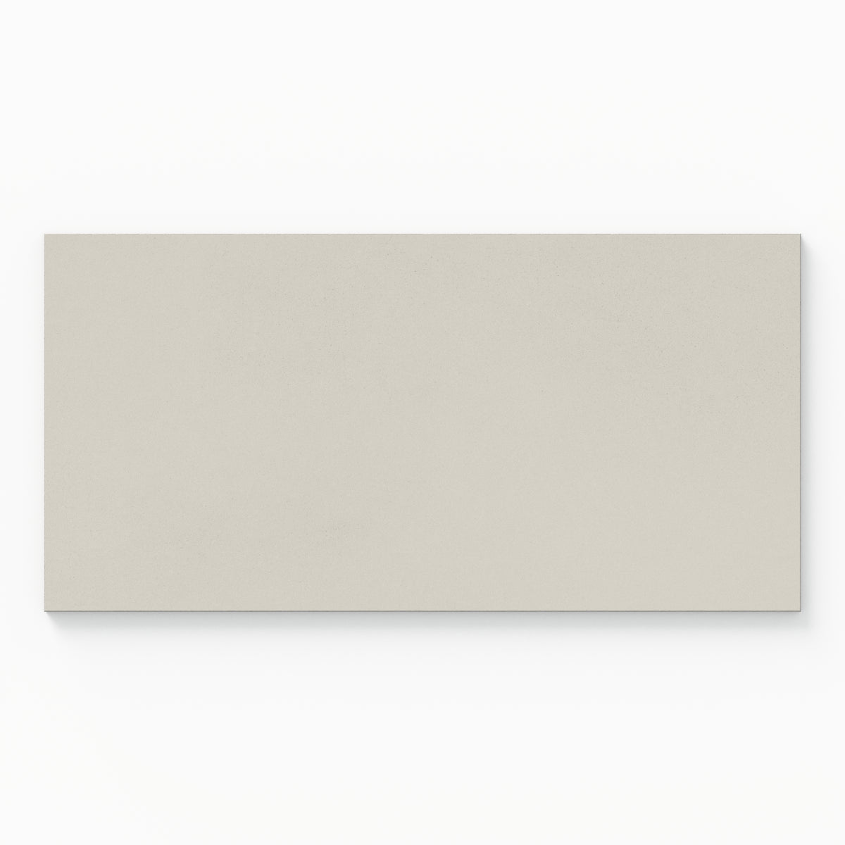 Palmer 12 x 24 Matte Porcelain Tile in White