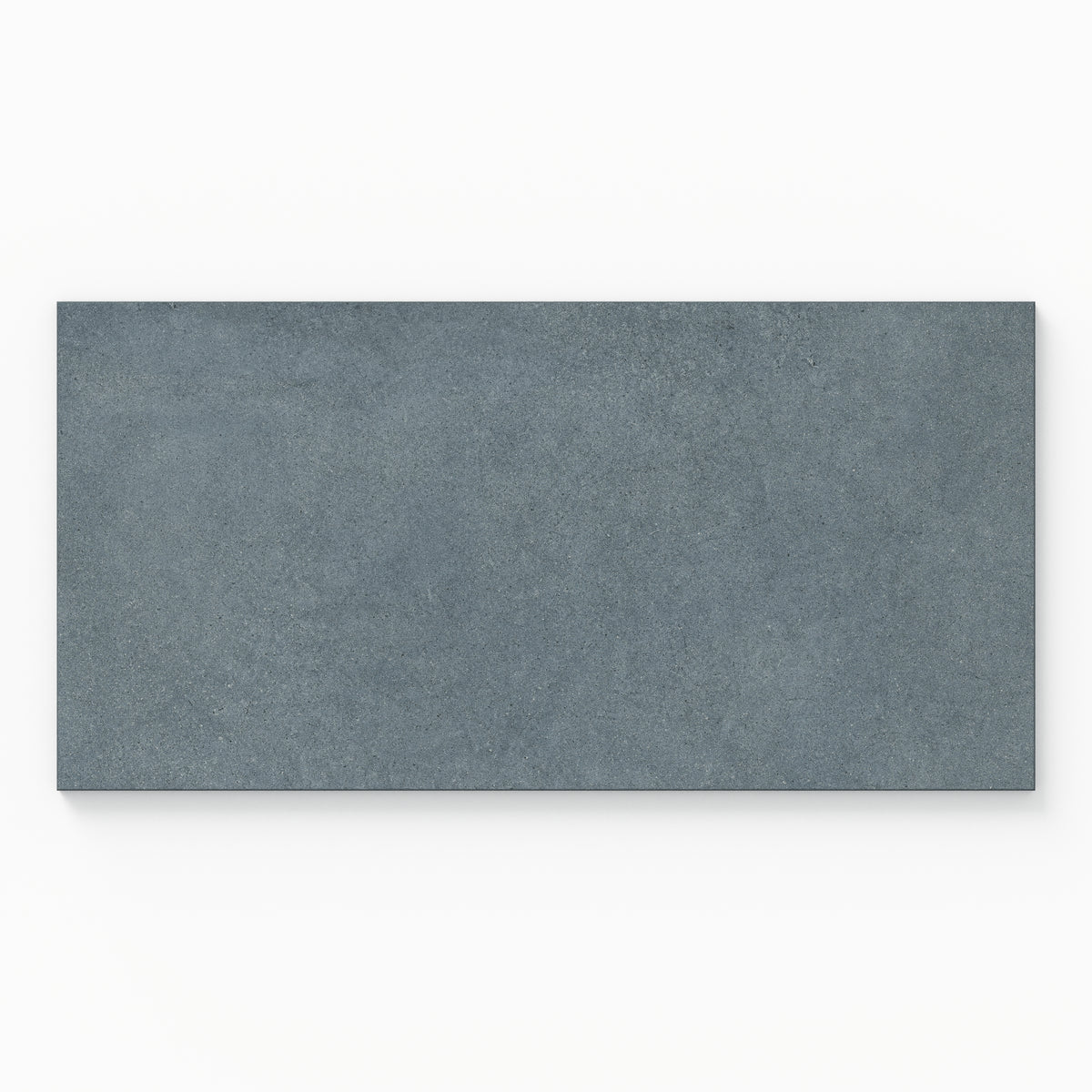 Palmer 12 x 24 Matte Porcelain Tile in Blue