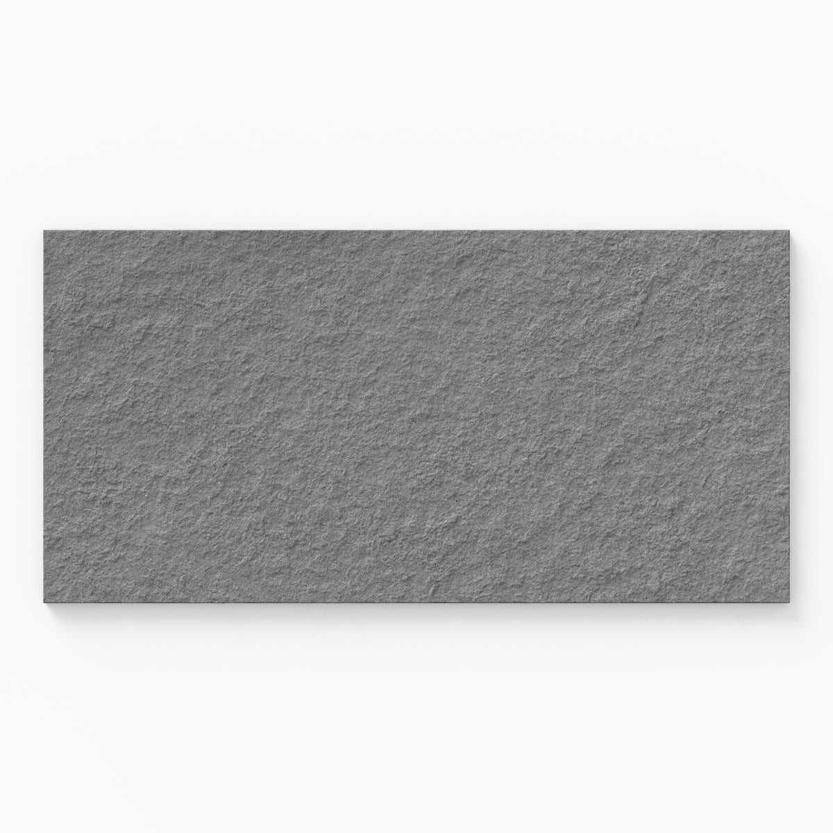 Palmer 12 x 24 Raw Porcelain Tile in Grey