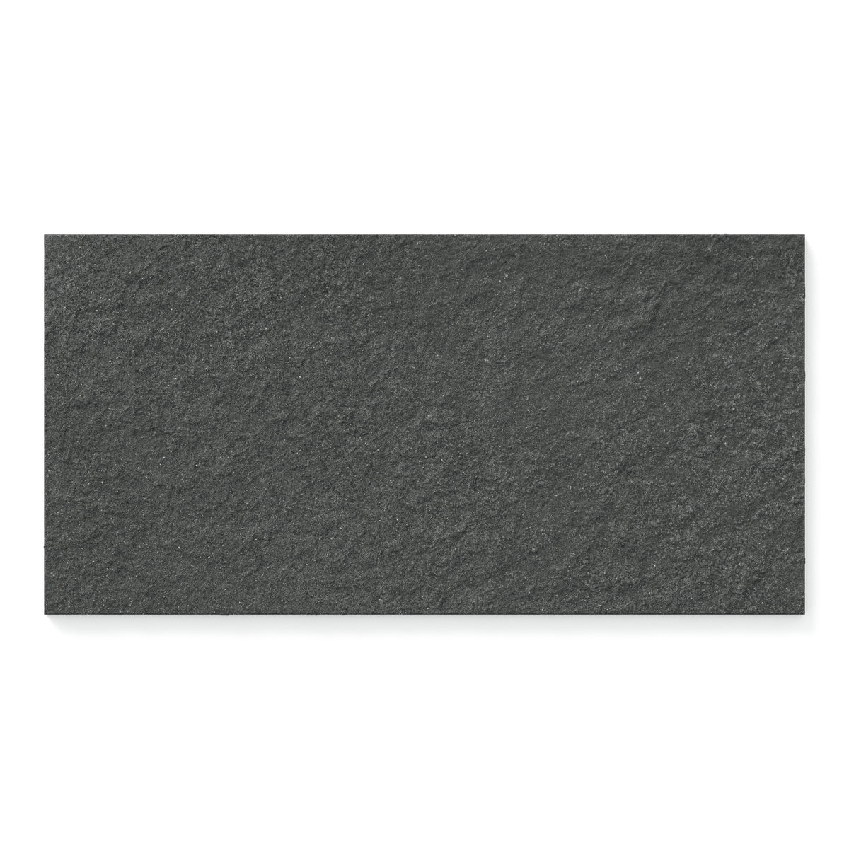 Palmer 12 x 24 Raw Porcelain Tile in Nero