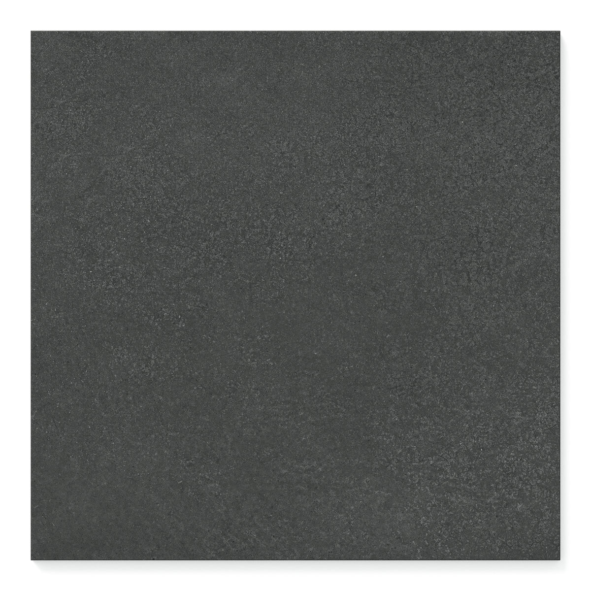 Palmer 24 x 24 Matte Porcelain Tile in Nero