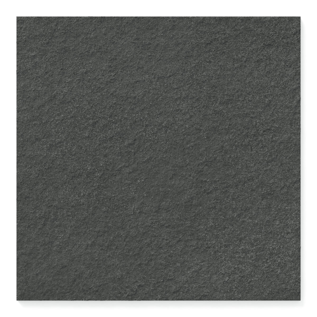 Palmer 24 x 24 Raw Porcelain Tile in Nero