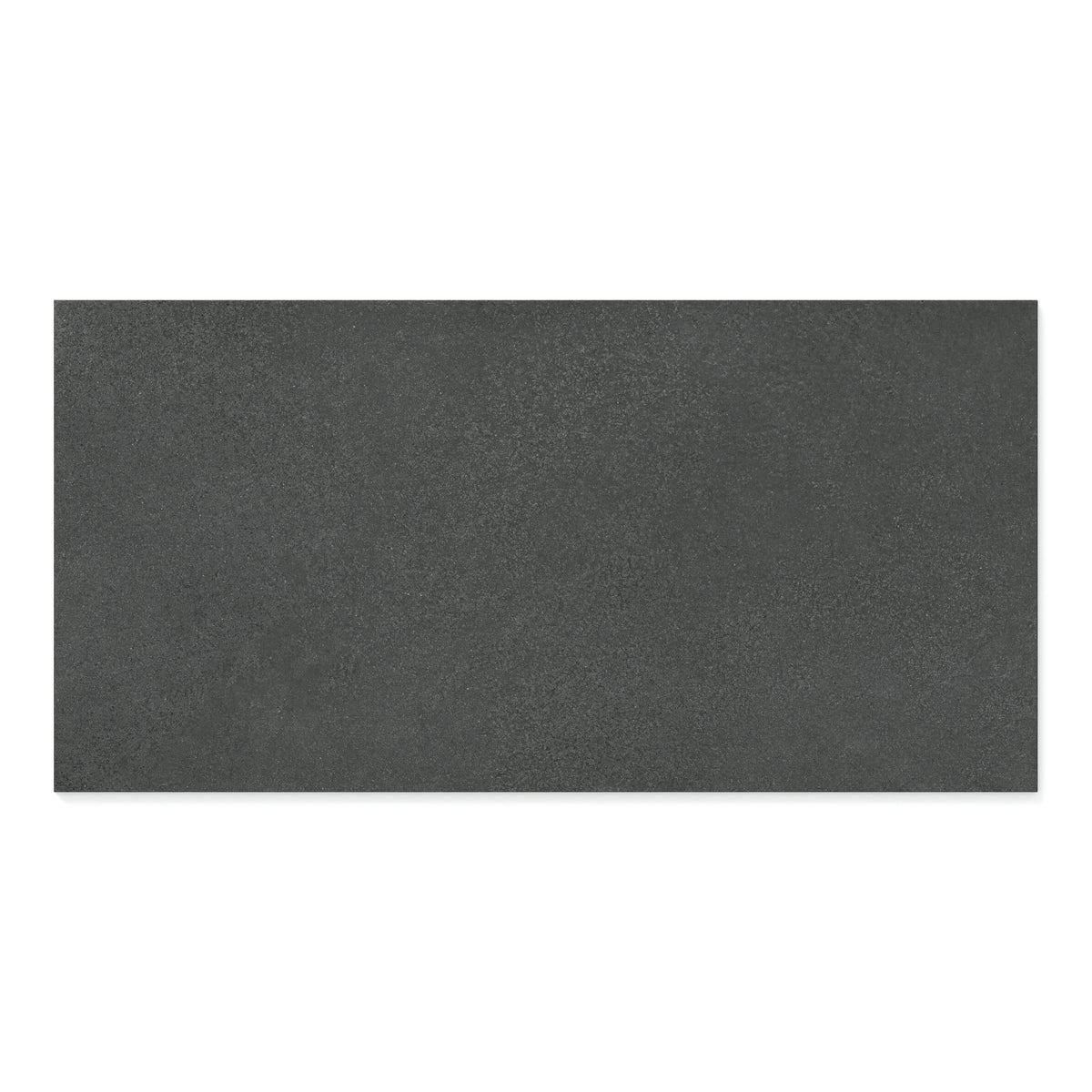 Palmer 24 x 48 Matte Porcelain Tile in Nero