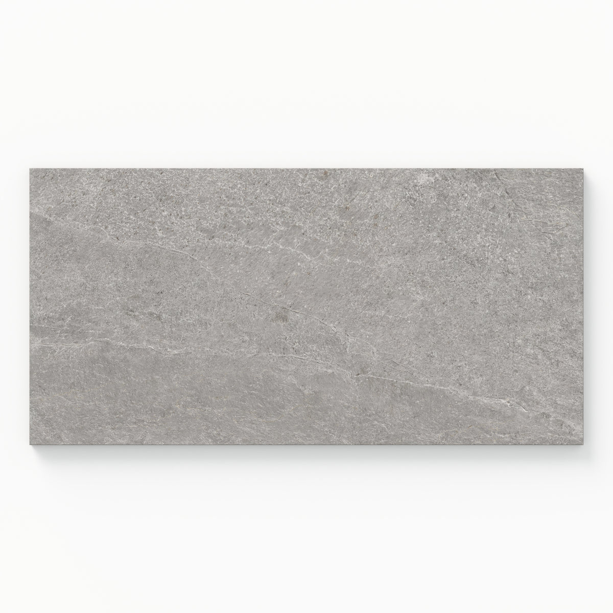 Dawson 24 x 48 Matte Porcelain Tile in Millstone