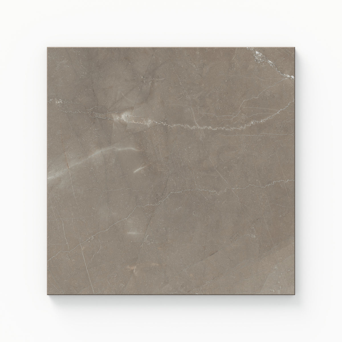 Leona 12 x 12 Polished Porcelain Tile in Amani Bronze