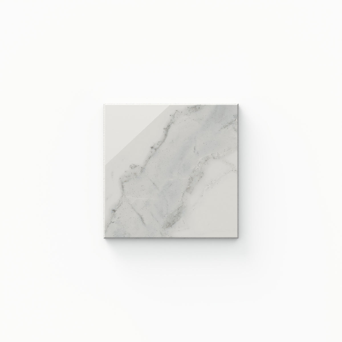 Leona 4 x 4 Polished in Calacatta Sample