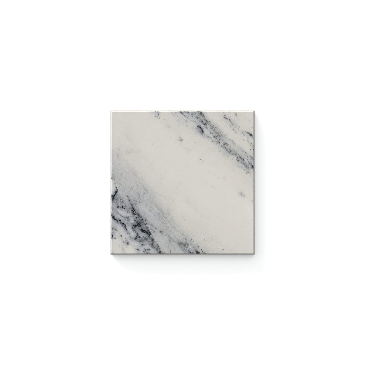 Aniston 4 x 4 Matte in Calacatta Antico Sample