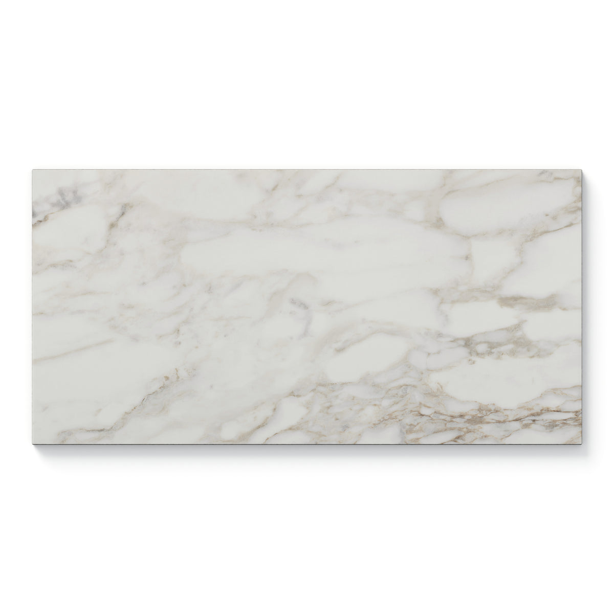 Giada 12 x 24 Matte Porcelain Tile in Renoir