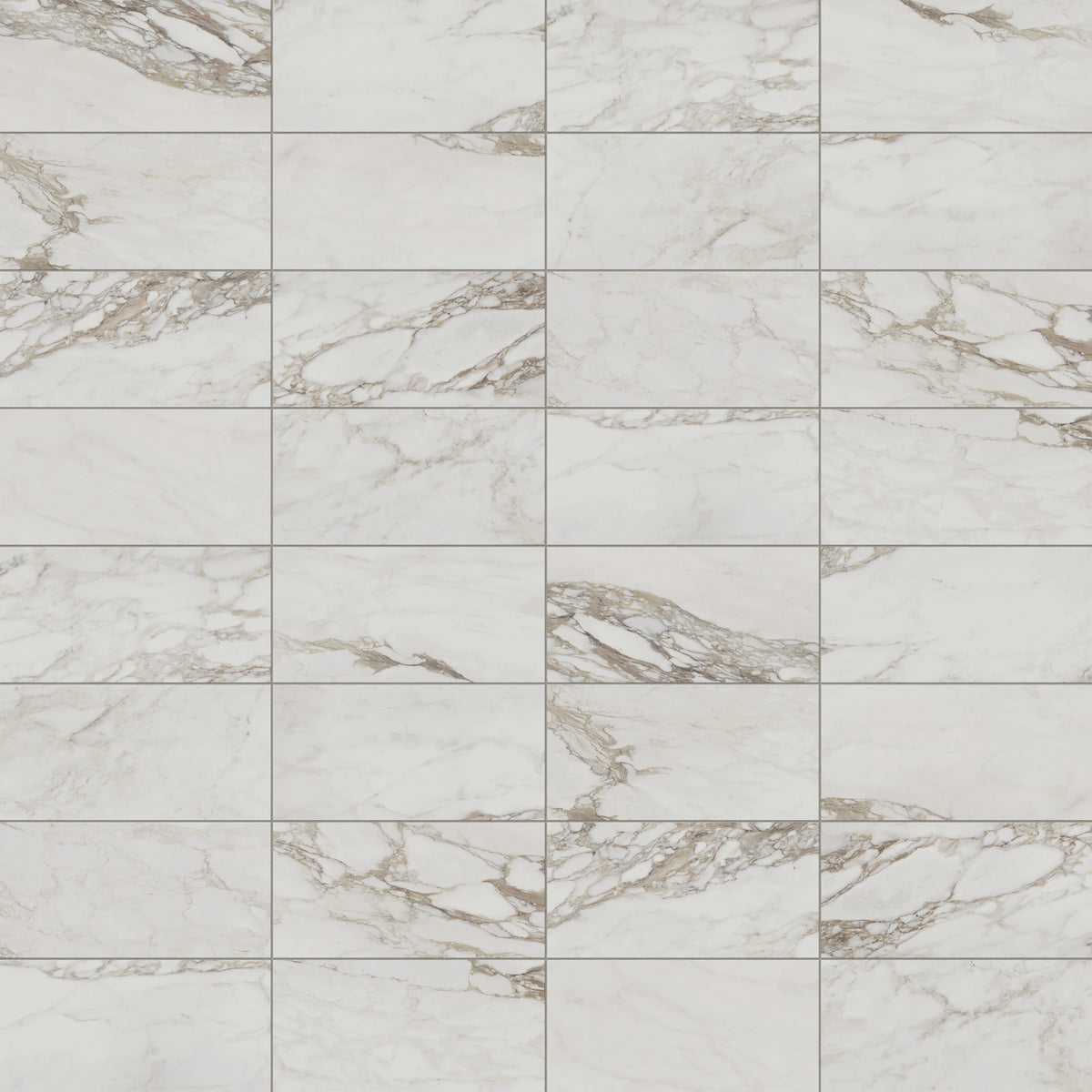 Giada 12 x 24 Matte Porcelain Tile in Renoir