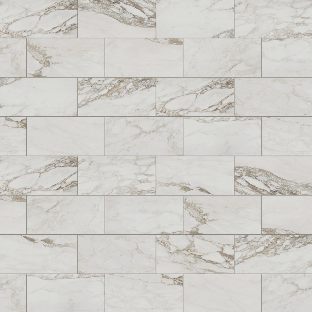 Giada 12 x 24 Matte Porcelain Tile in Renoir