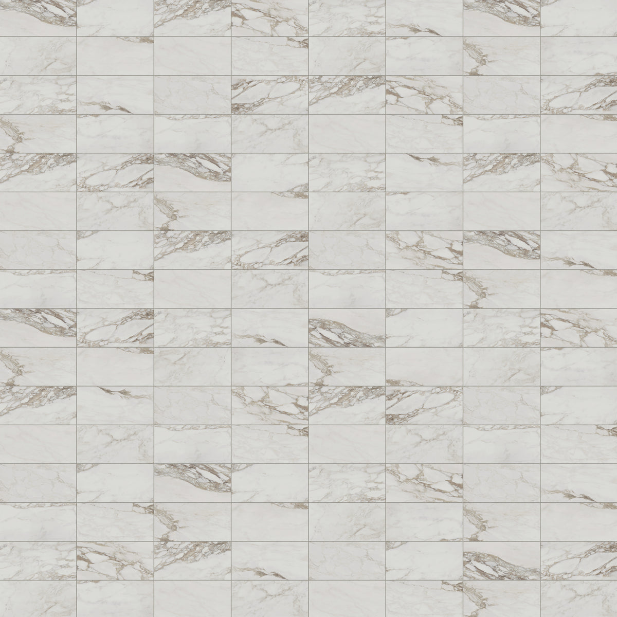 Giada 12 x 24 Matte Porcelain Tile in Renoir