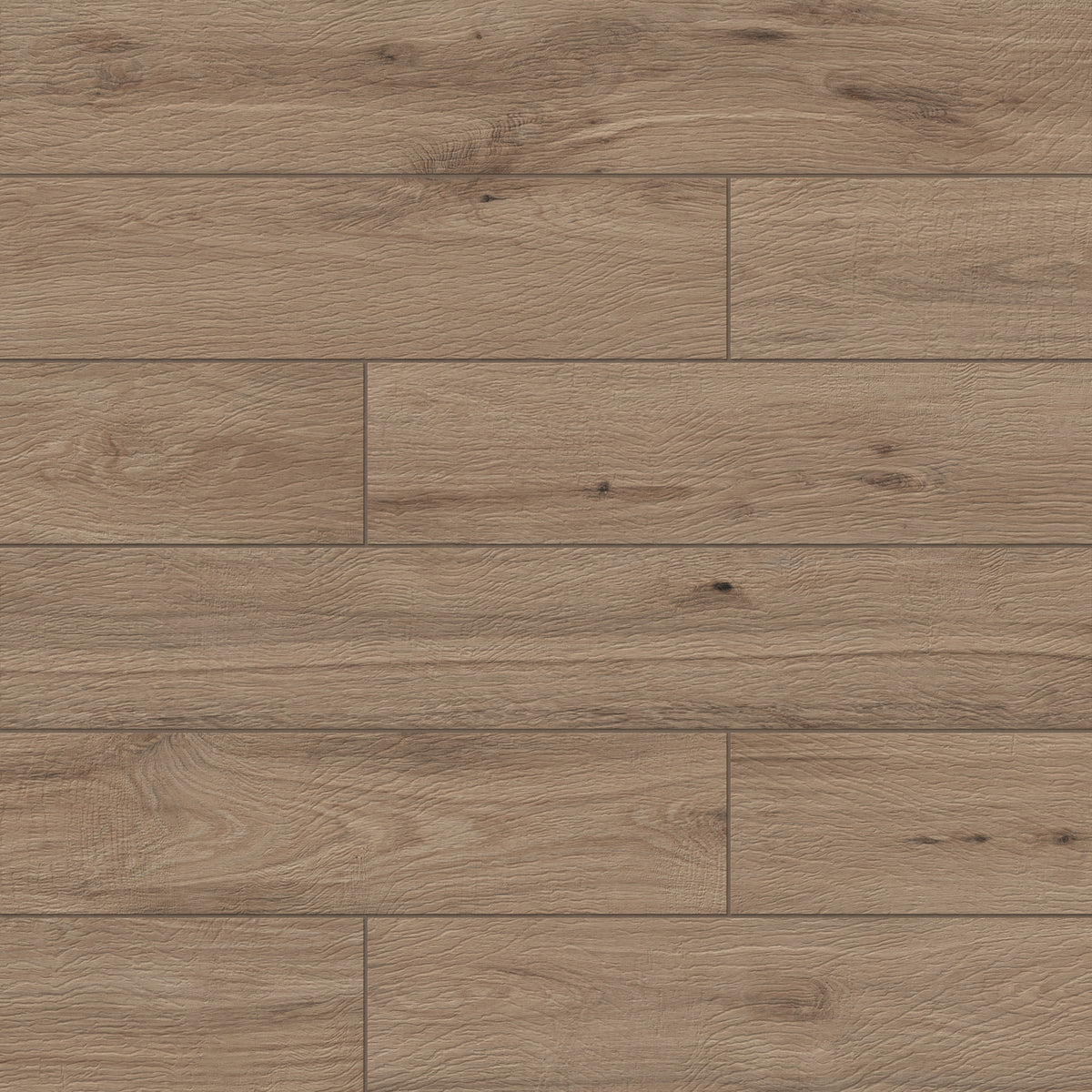 Evocative portrayal of the Pine shade in Preston's wood-look porcelain planks, mirroring the serenity of forest timber.