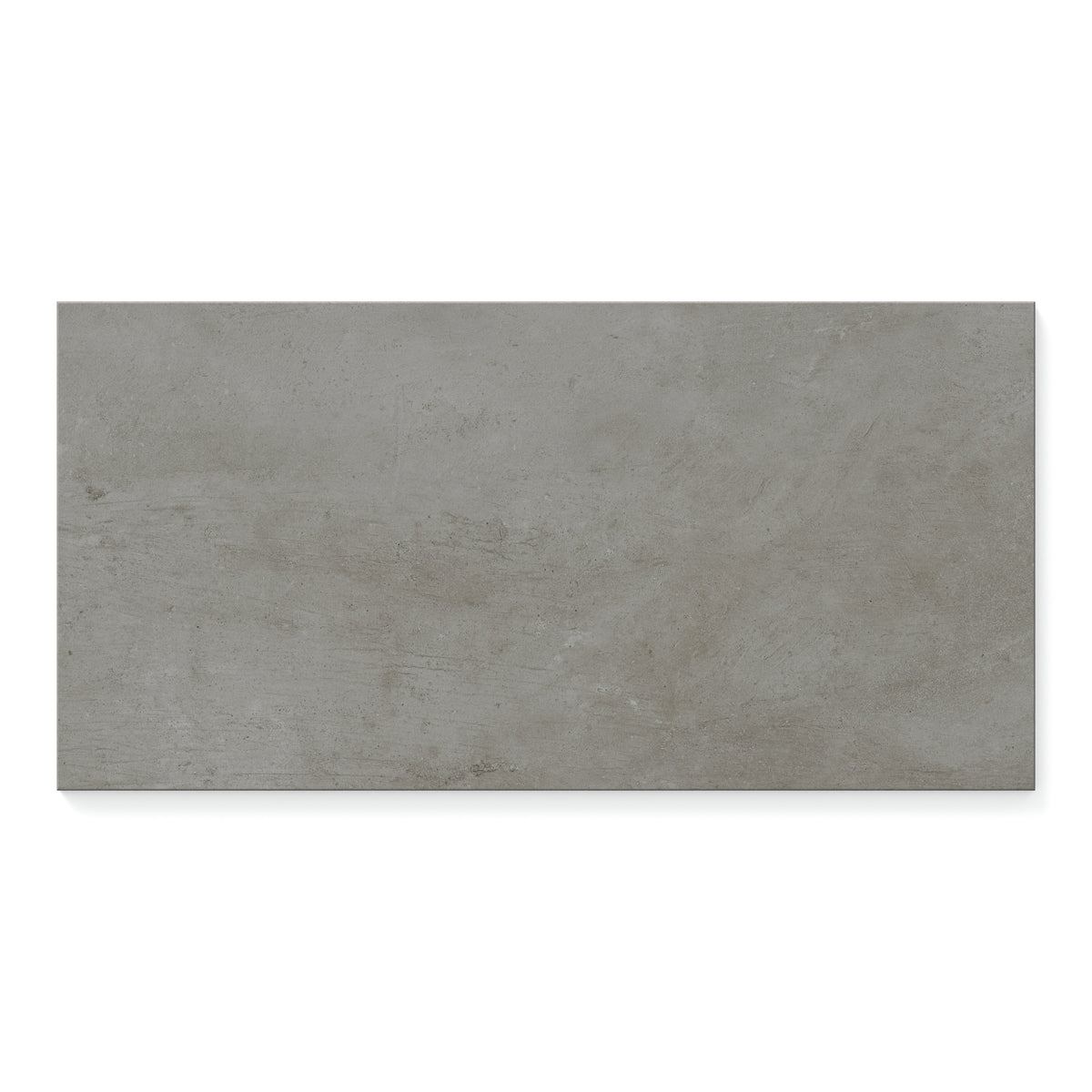 Ramsey 12 x 24 Matte Porcelain Tile in Ash