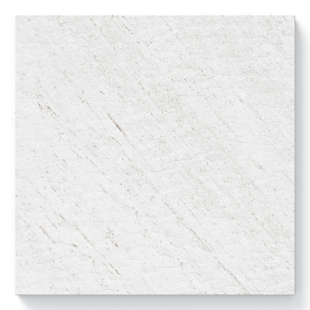 Carter 24 x 24 Grip Porcelain 2cm Paver Tile in Extra White