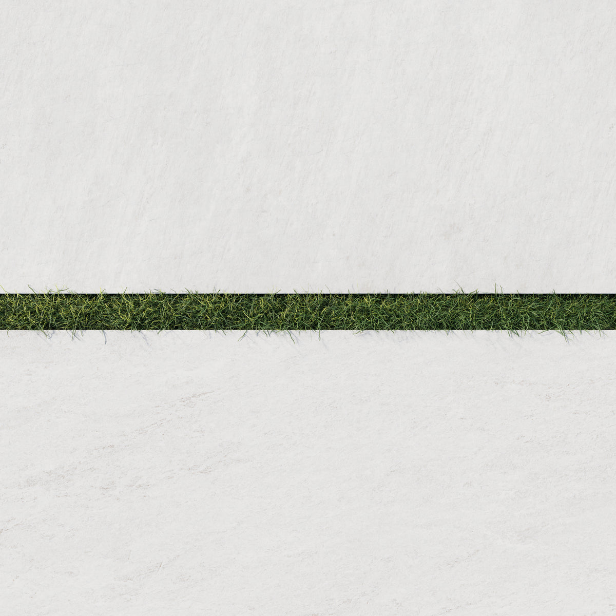 Close-up of Carter Ash 24x48 Matte Porcelain Pavers, 2cm thick, showcasing a sleek white surface paired with vibrant green grass for outdoor elegance.
