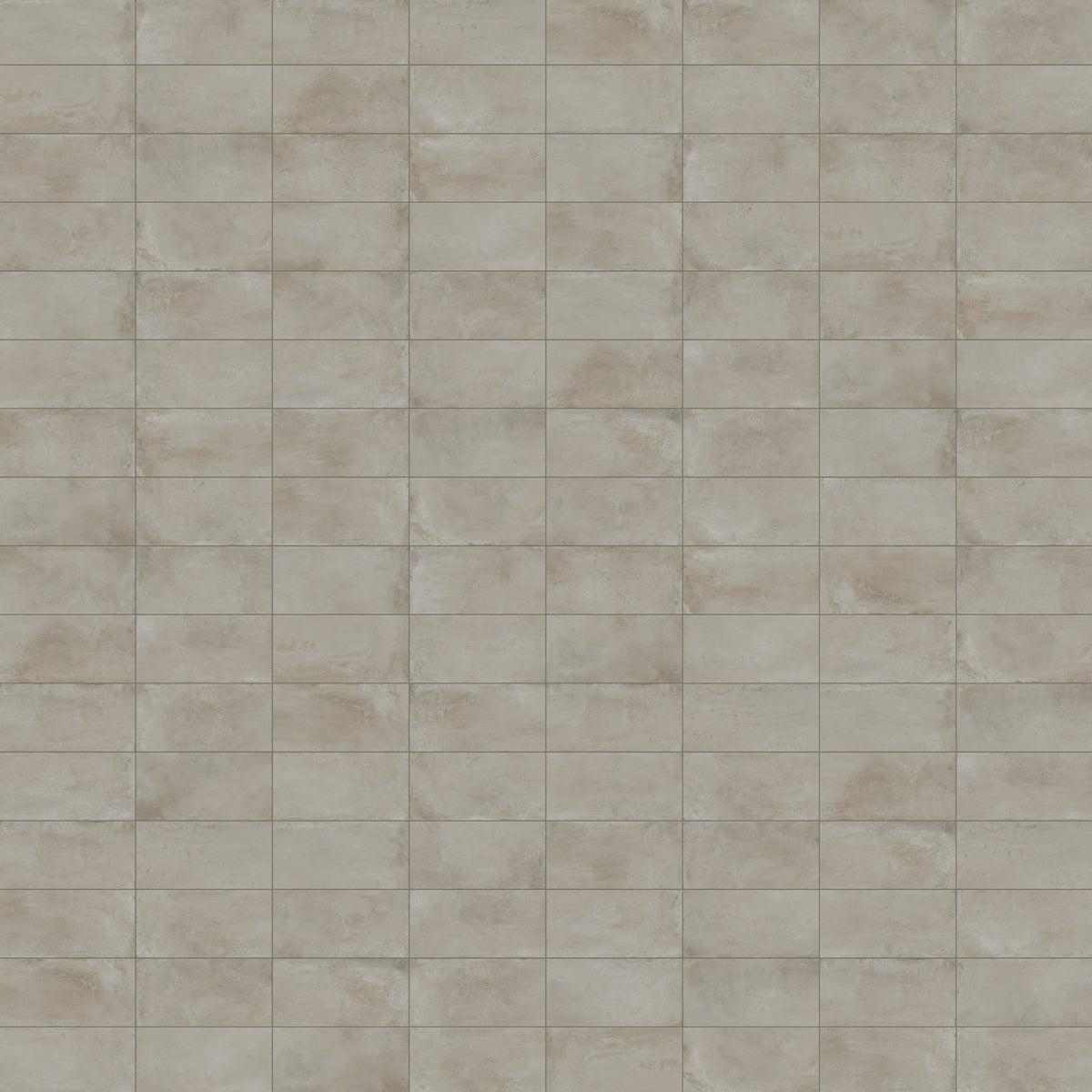 Ramsey 12 x 24 Matte Porcelain Tile in Putty